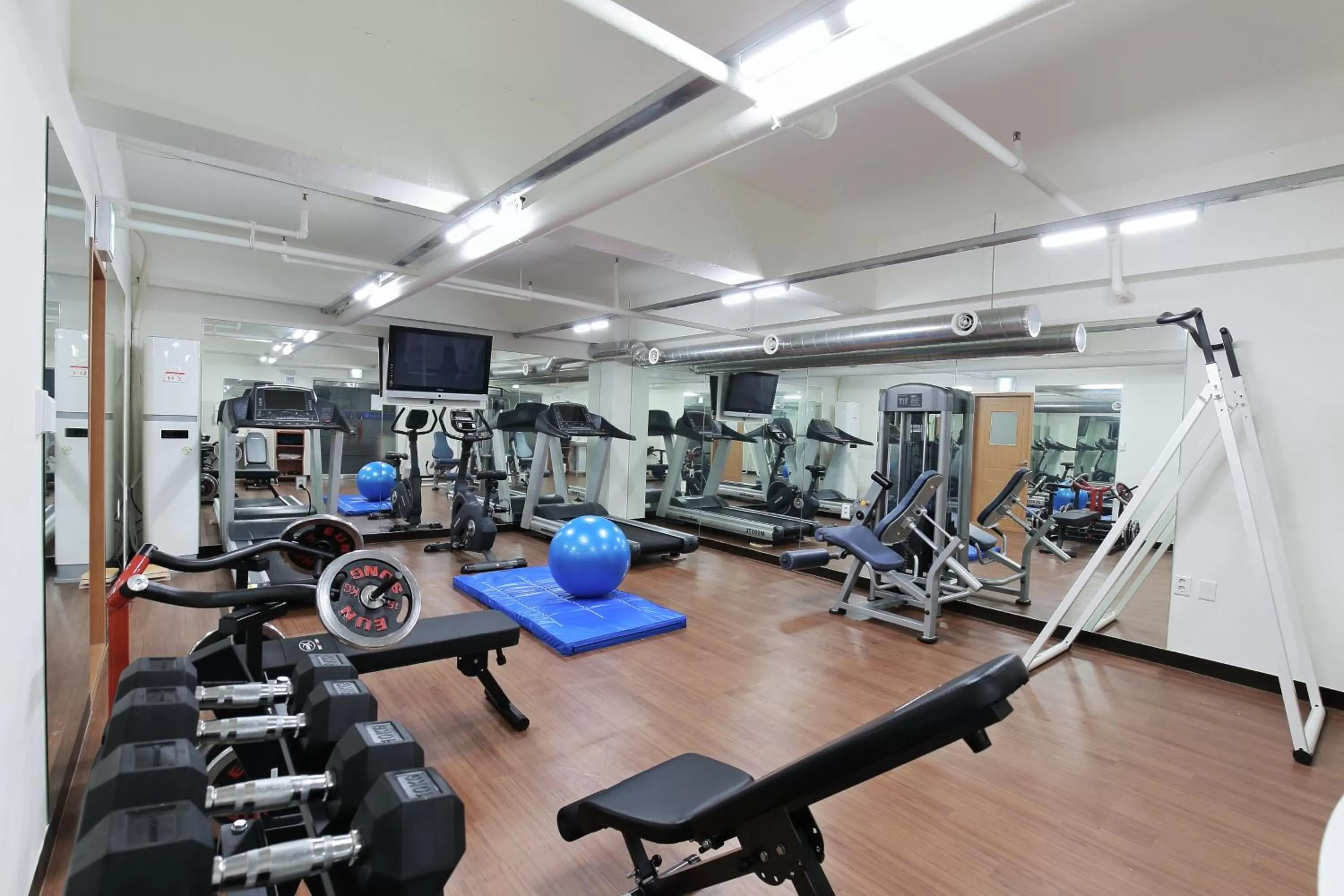 Fitness centre/facilities in Benikea Swiss Rosen Hotel