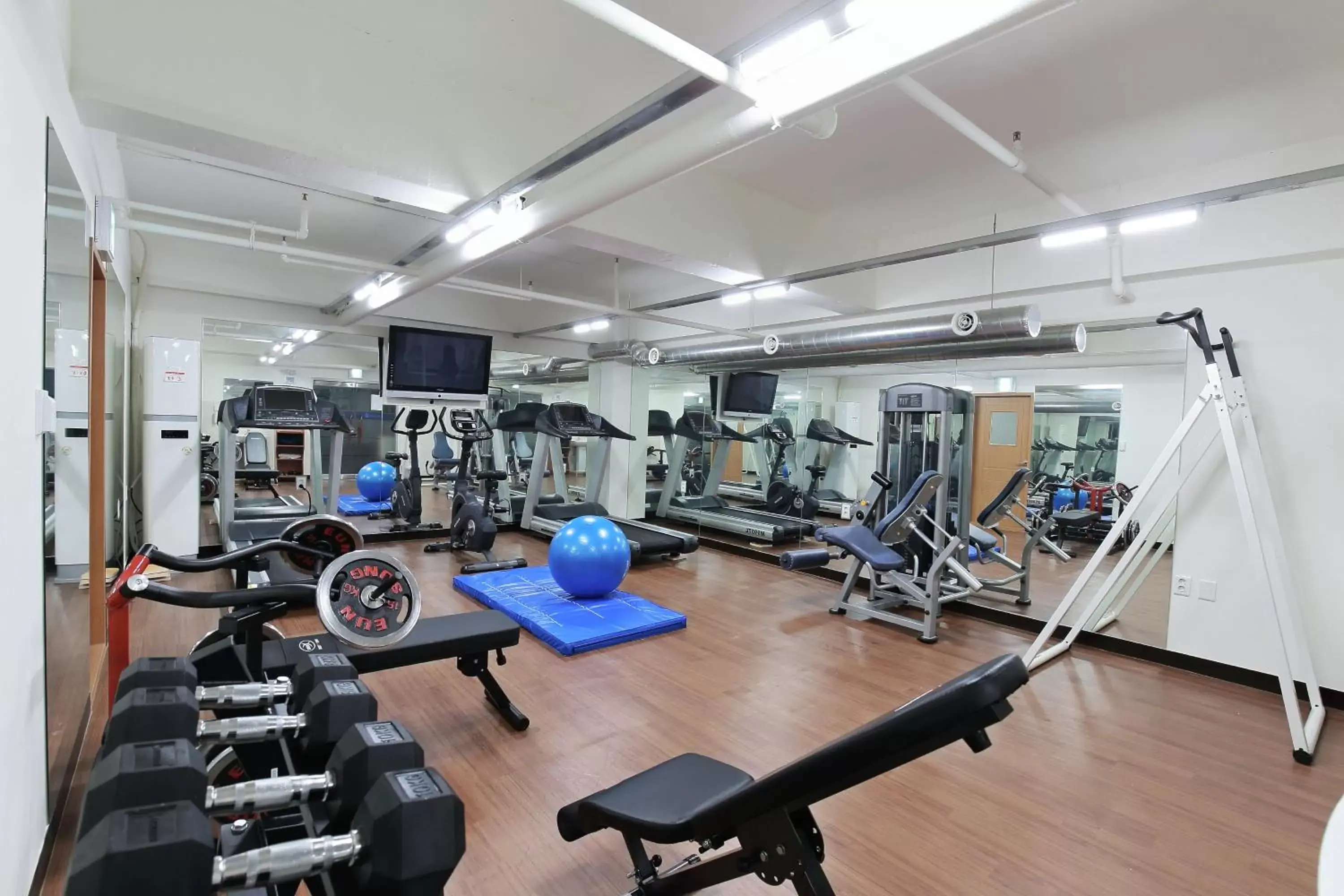 Fitness centre/facilities, Fitness Center/Facilities in Benikea Swiss Rosen Hotel