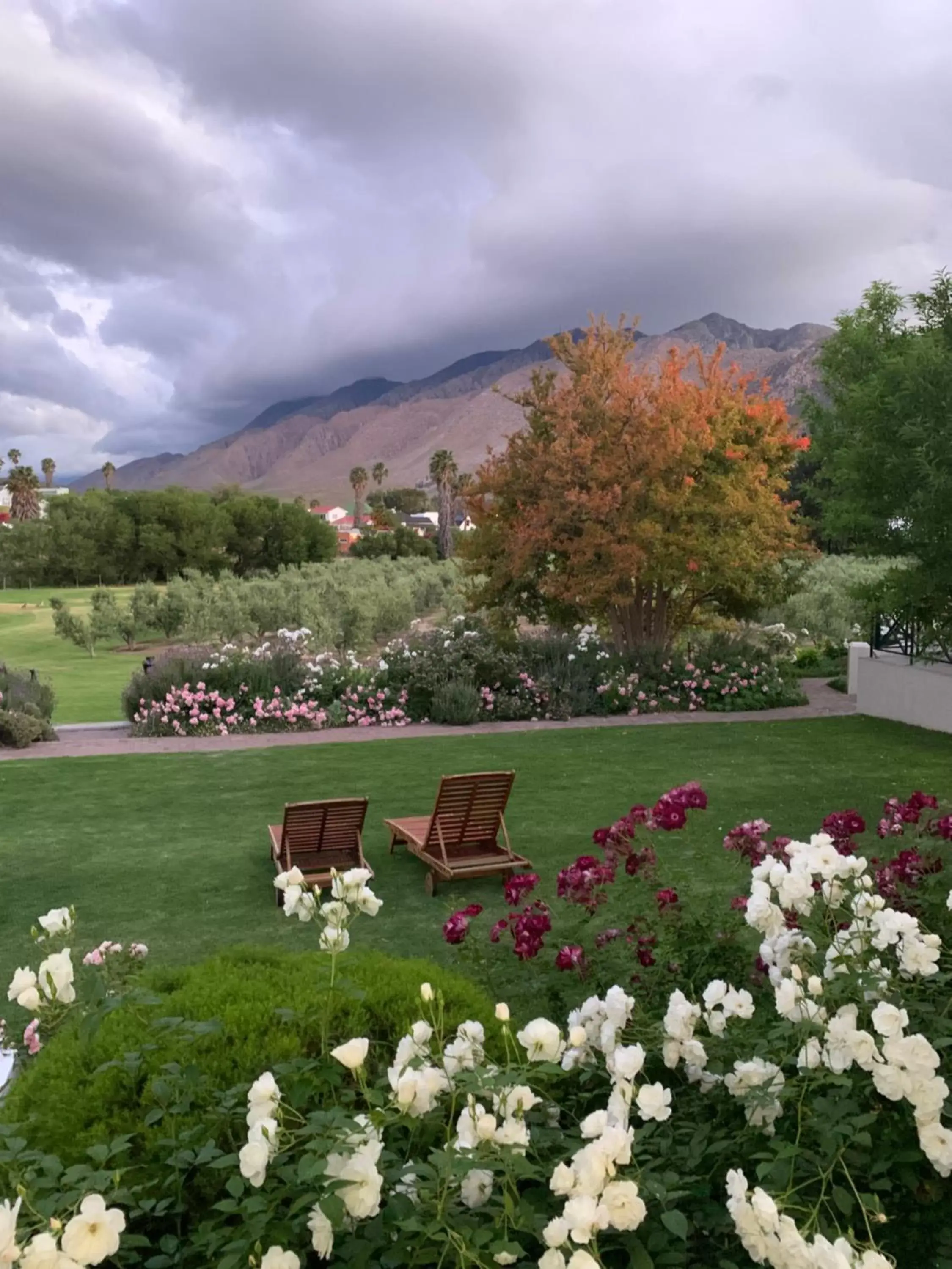 Natural landscape in Montagu Vines Guesthouse