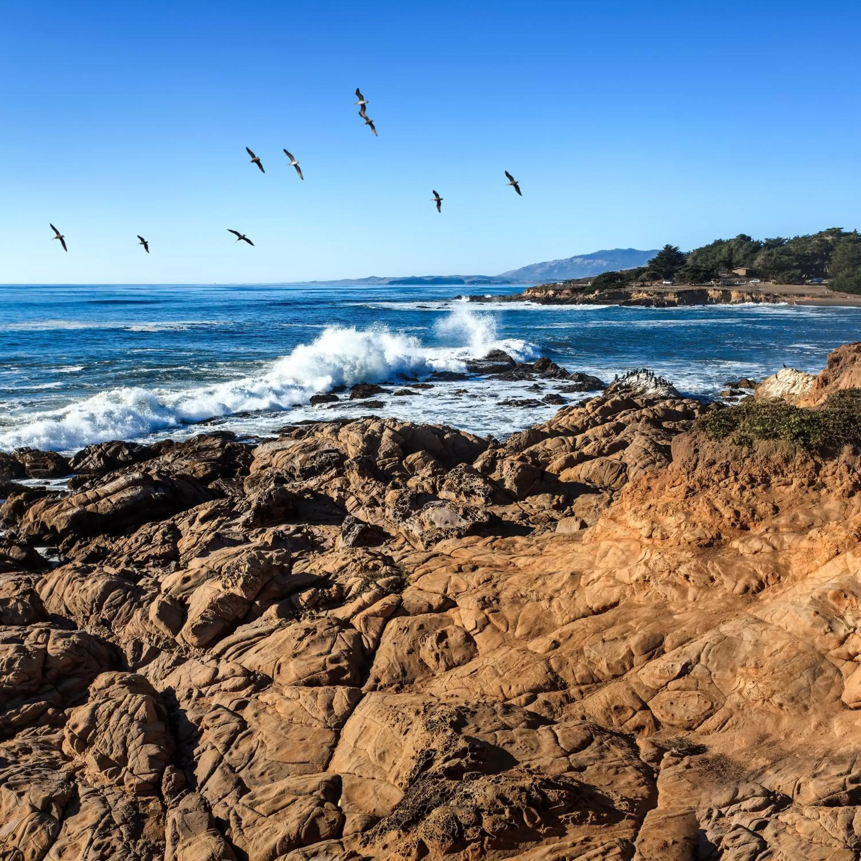 Area and facilities, Beach in Sand Pebbles Inn