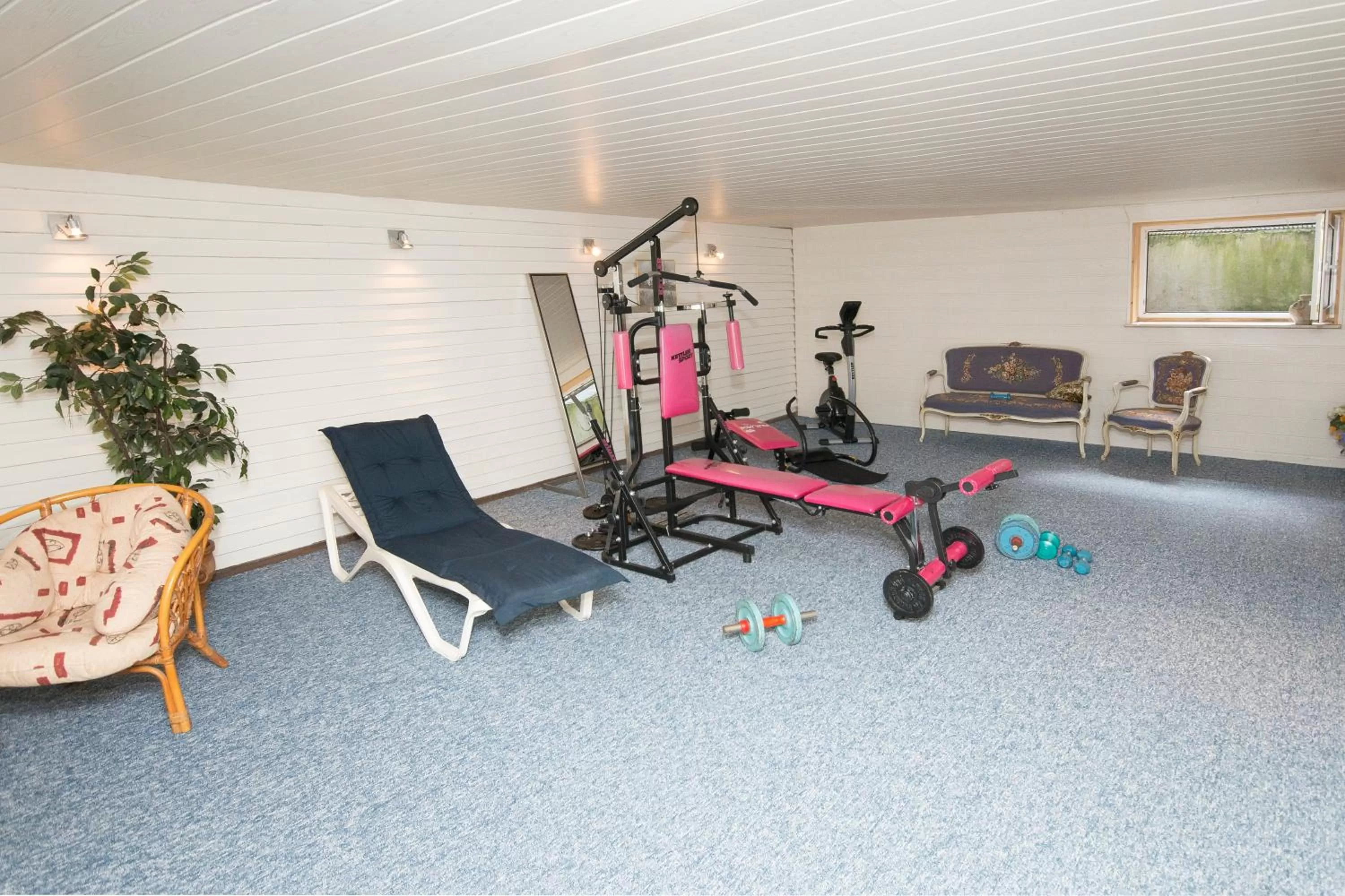 Fitness centre/facilities in Hotel am Wasserturm