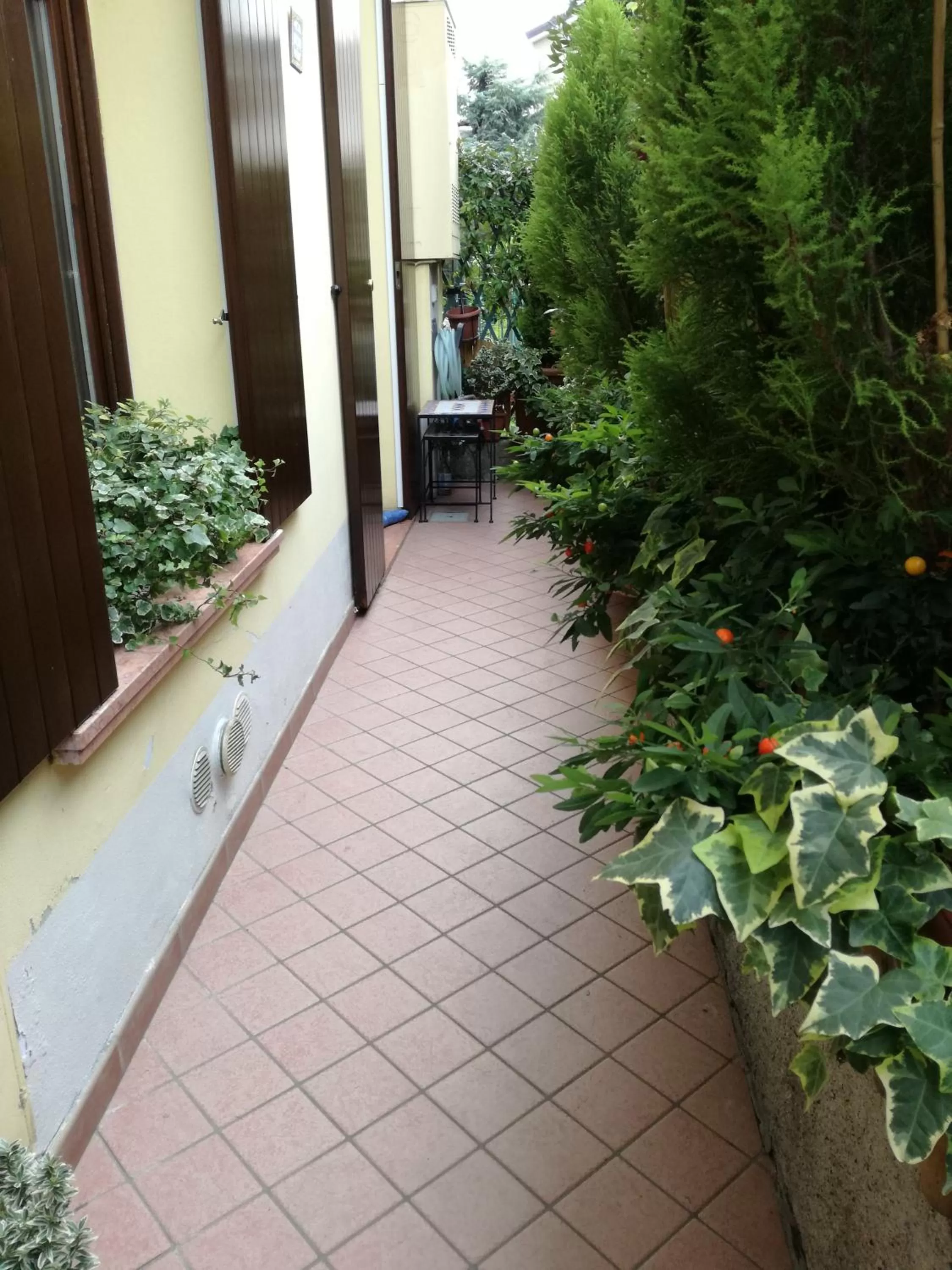 View (from property/room) in B&b Rosy