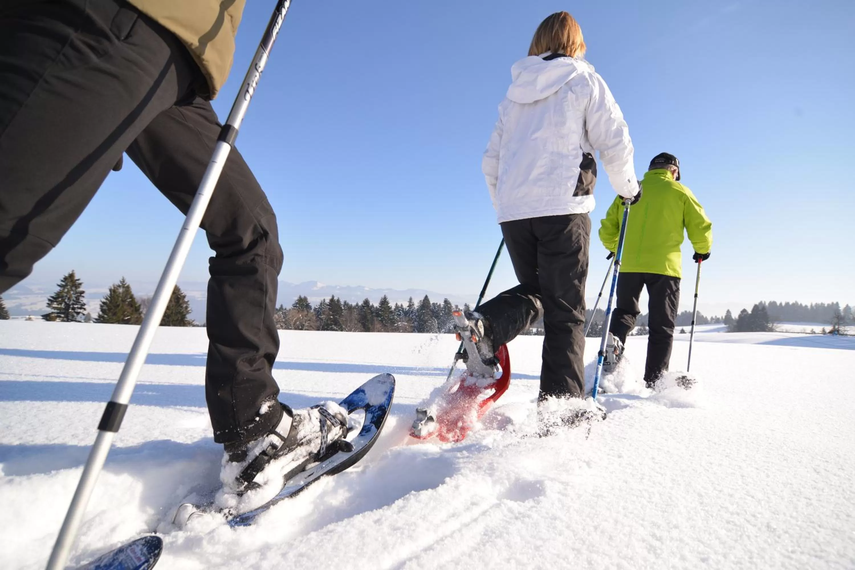 Winter in Hotel Post - regionales großes Frühstücksbuffet - auch GF & LF