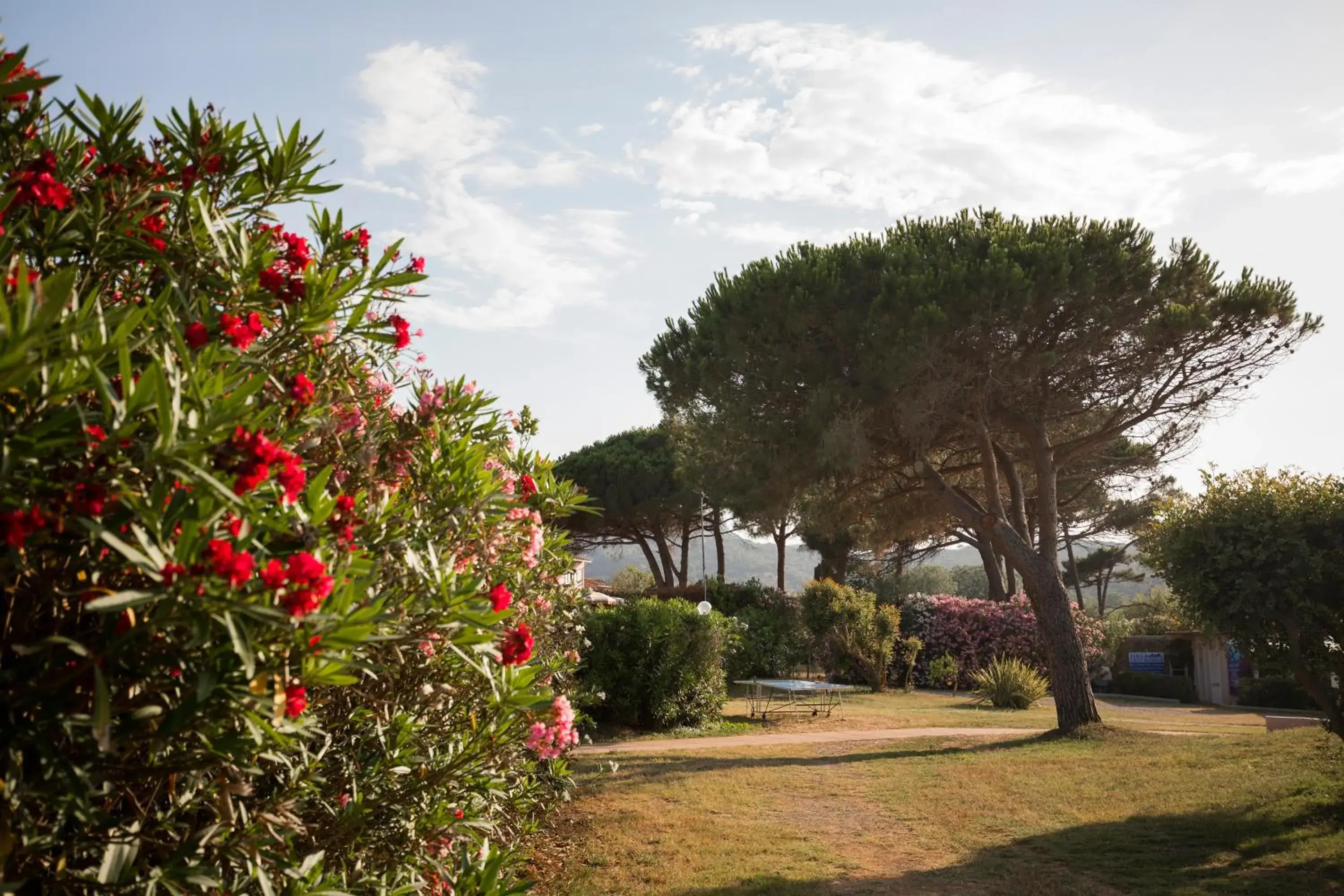 Garden in Hotel Fabricia