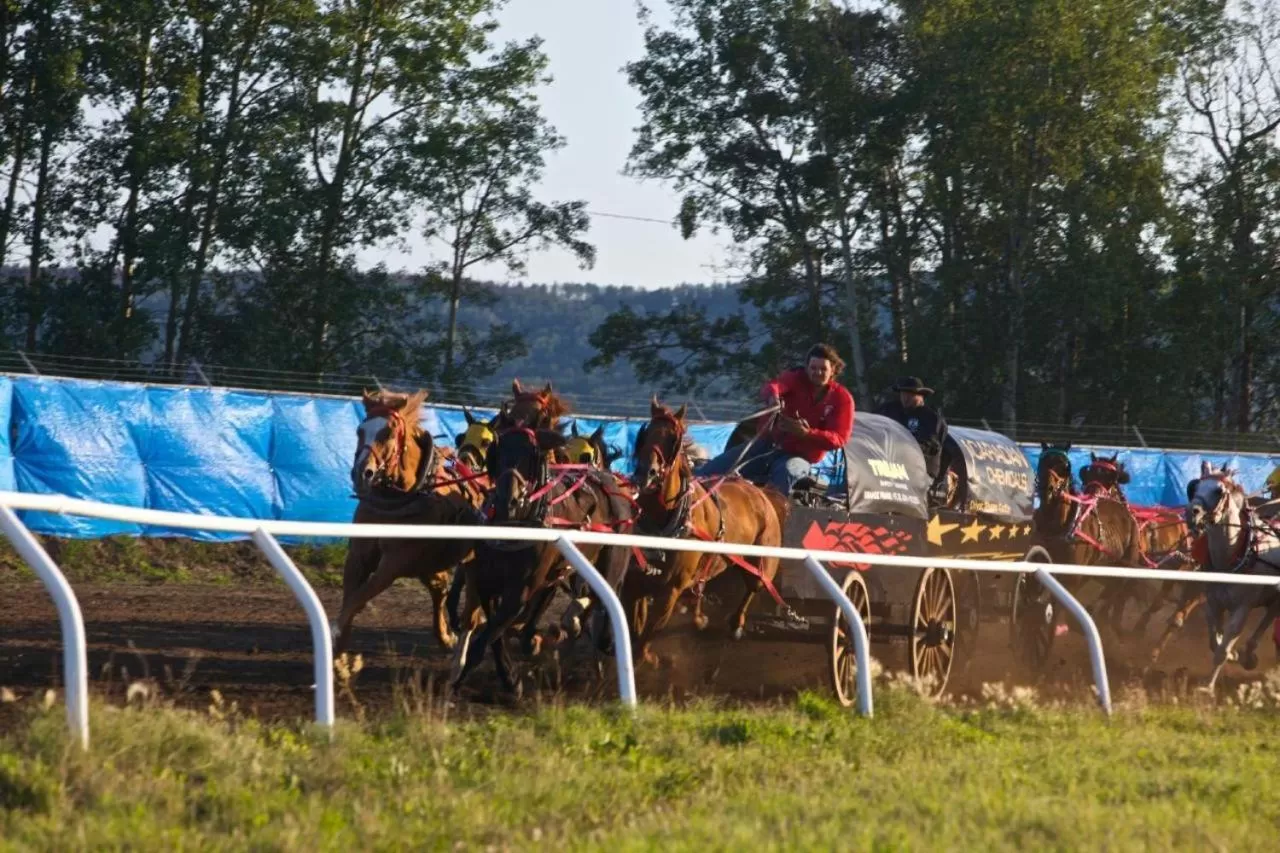 Horse-riding in The George Dawson Inn & Conference Centre