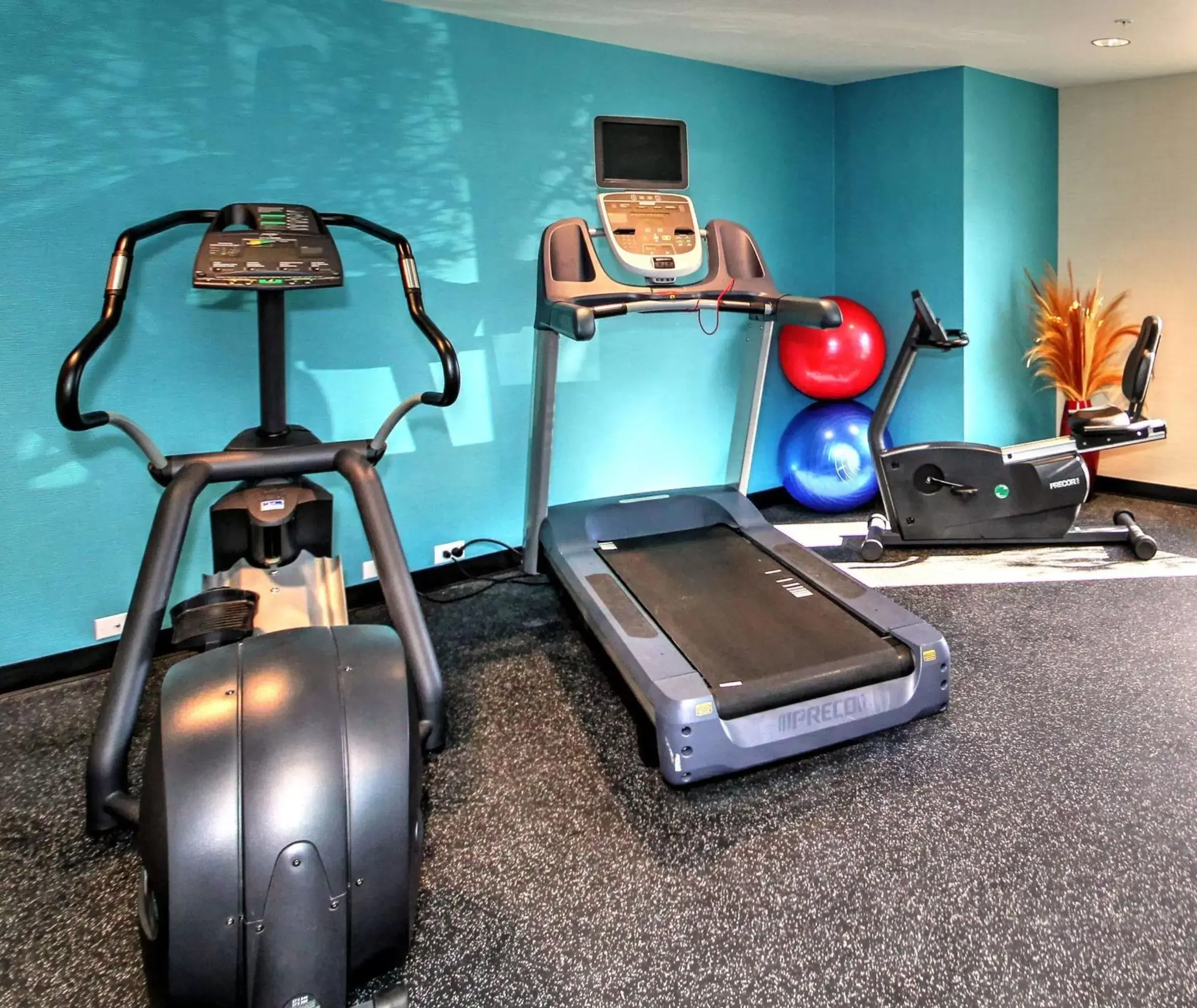 Fitness centre/facilities, Fitness Center/Facilities in Fairfield Inn Boise Airport