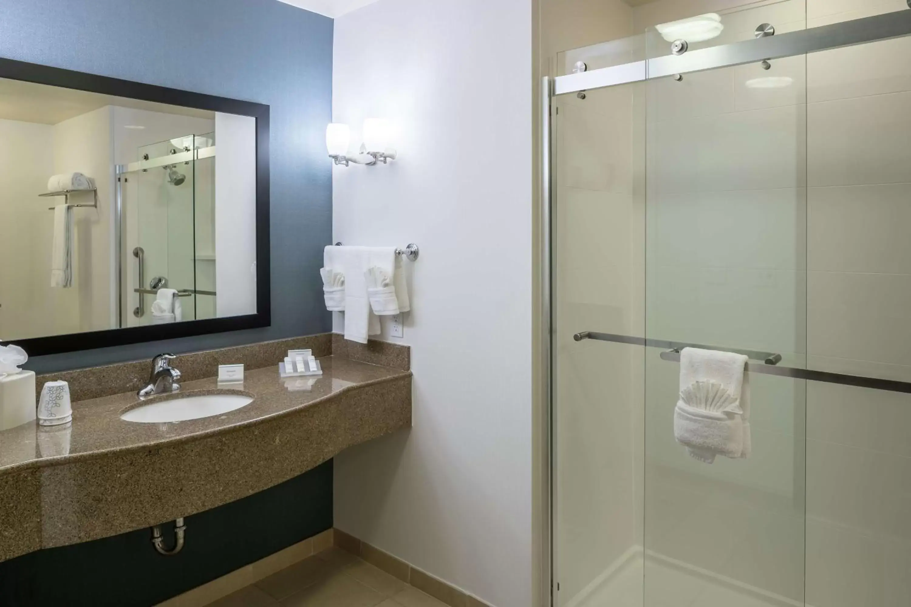 Bathroom in Hilton Garden Inn DFW North Grapevine