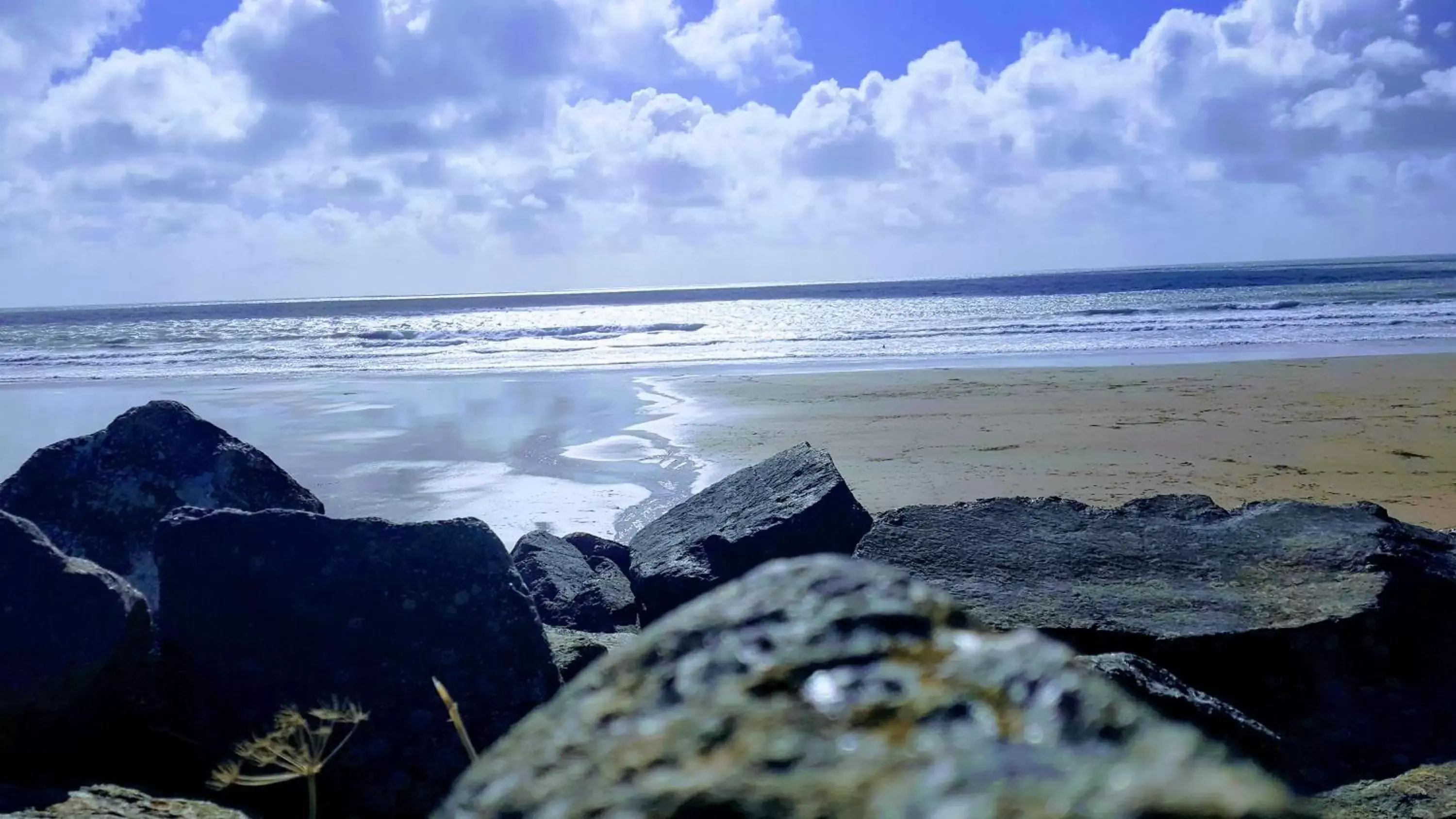 Beach in Bay Lodge