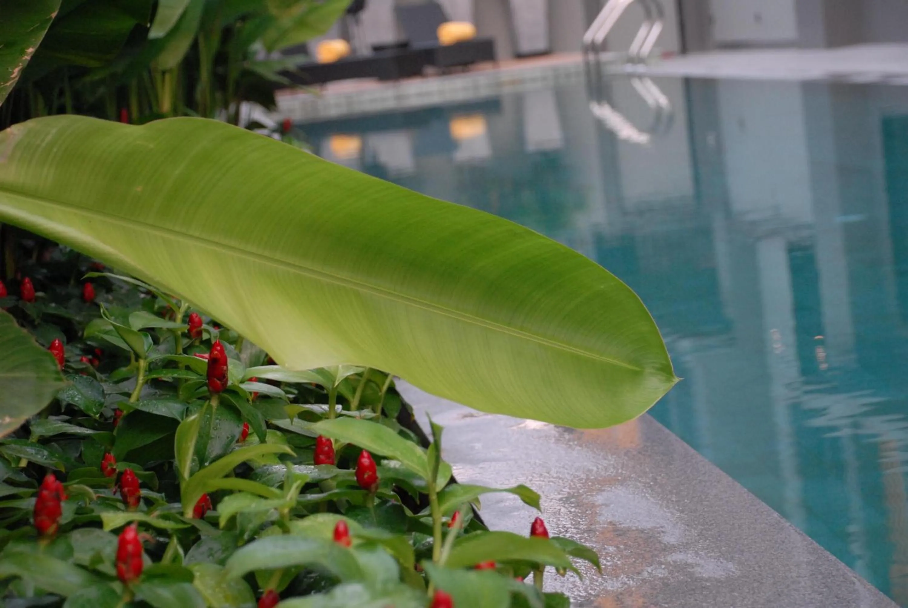 Other in iSanook Bangkok