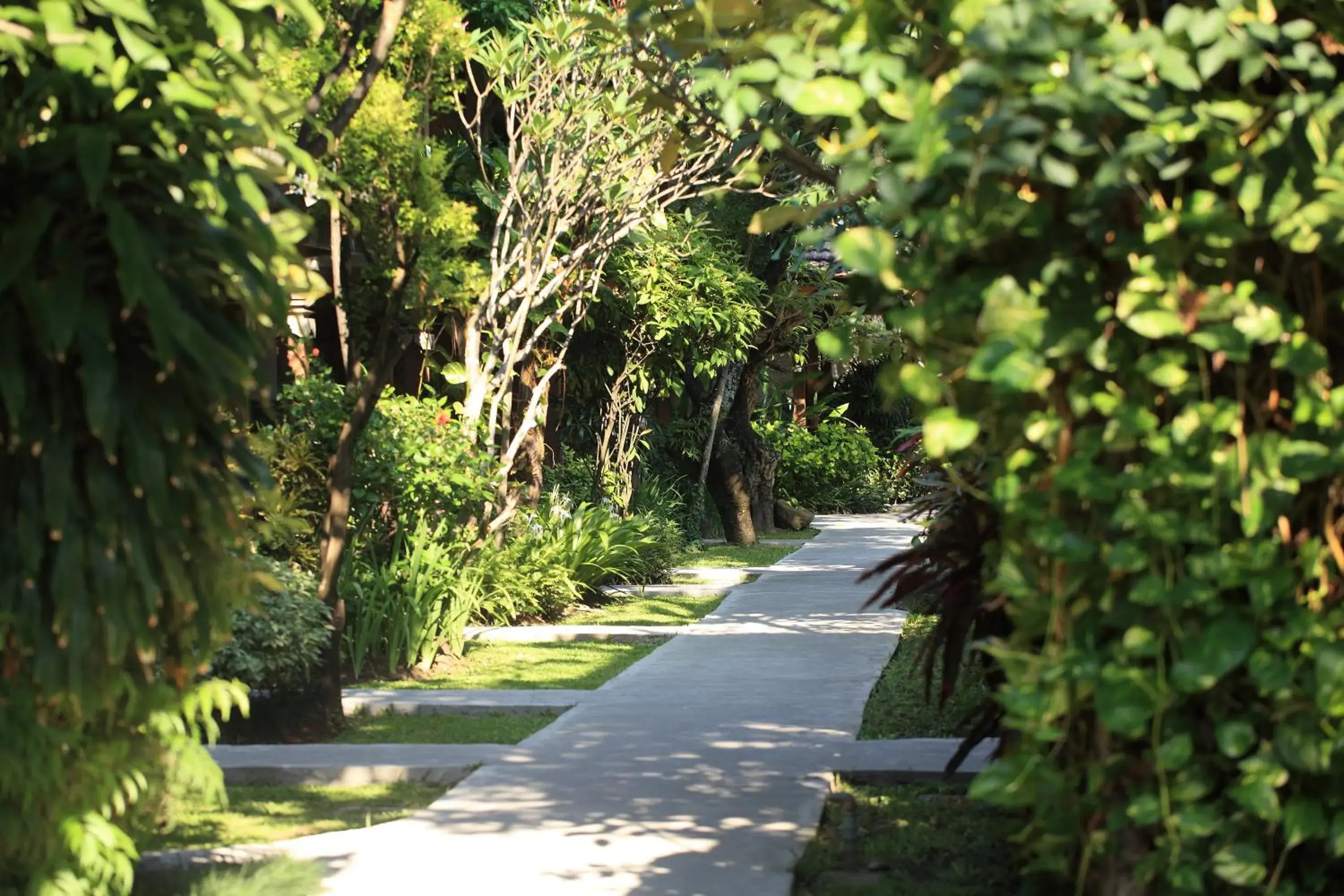 Garden in Matahari Bungalow Hotel