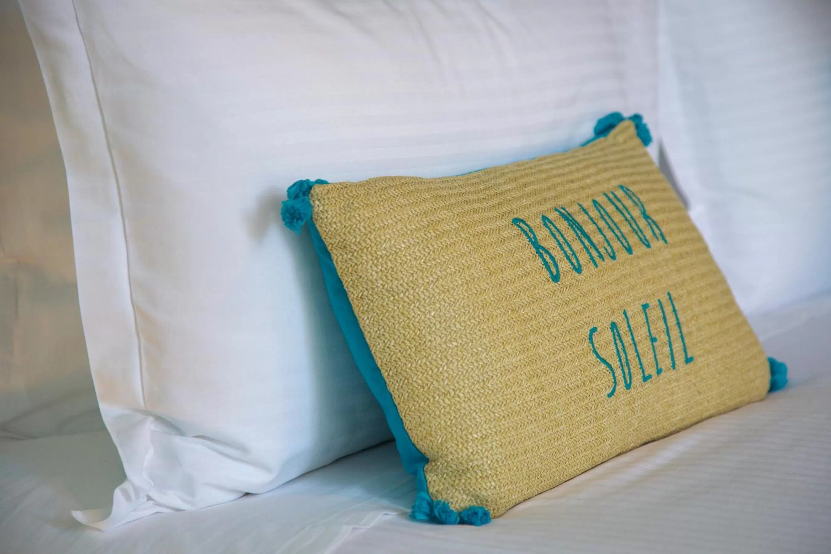 O'Myosotis - 400m Centre Historique - Parking Gratuit - Piscine et Jardin