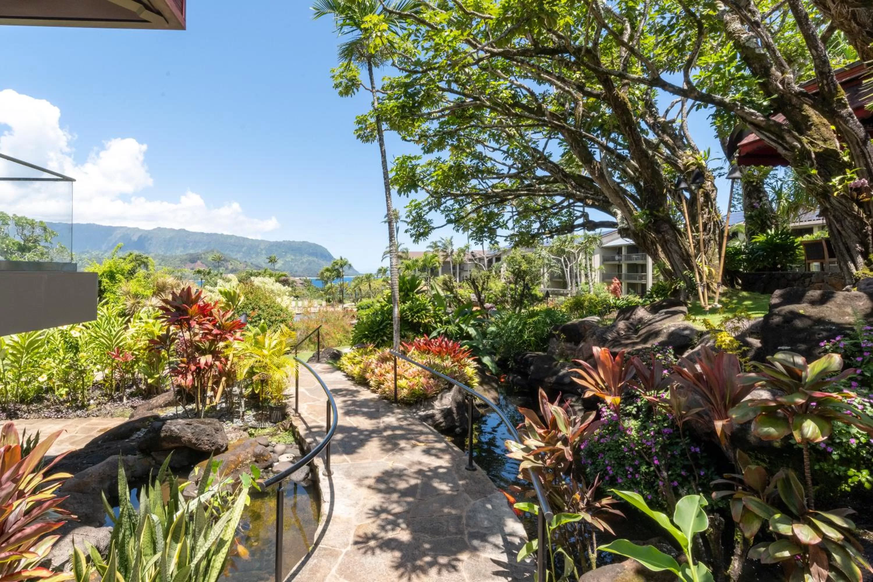 View (from property/room) in Hanalei Bay Resort