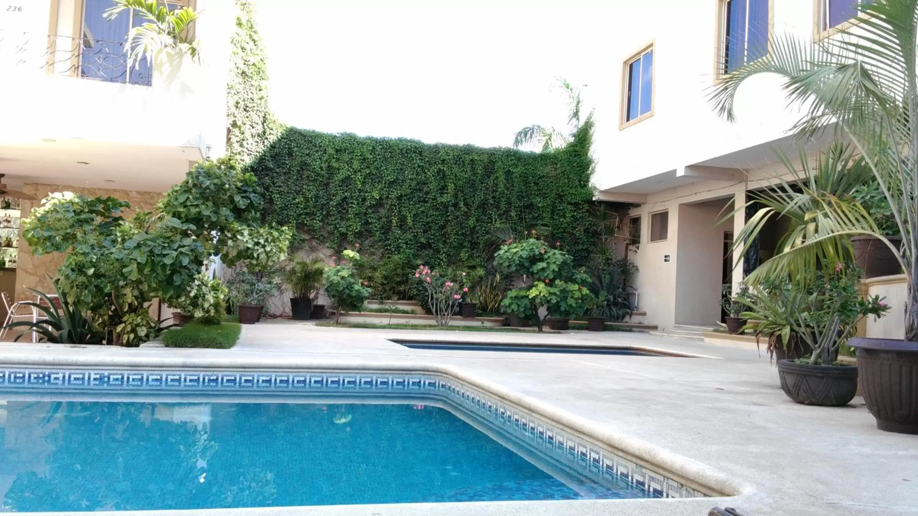 Garden, Swimming Pool in Hotel Mediterraneo