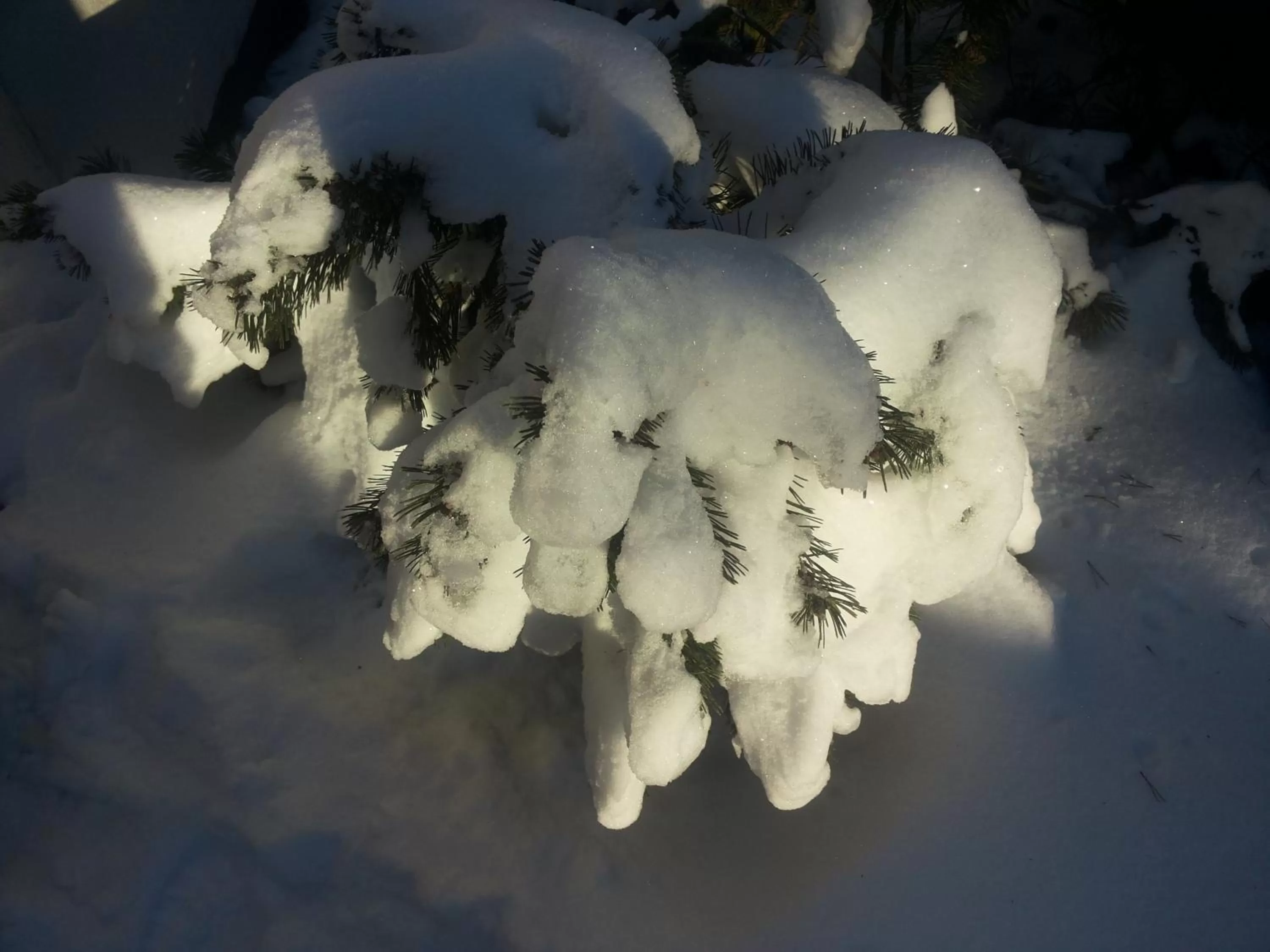 Property building in B&B Orchidee