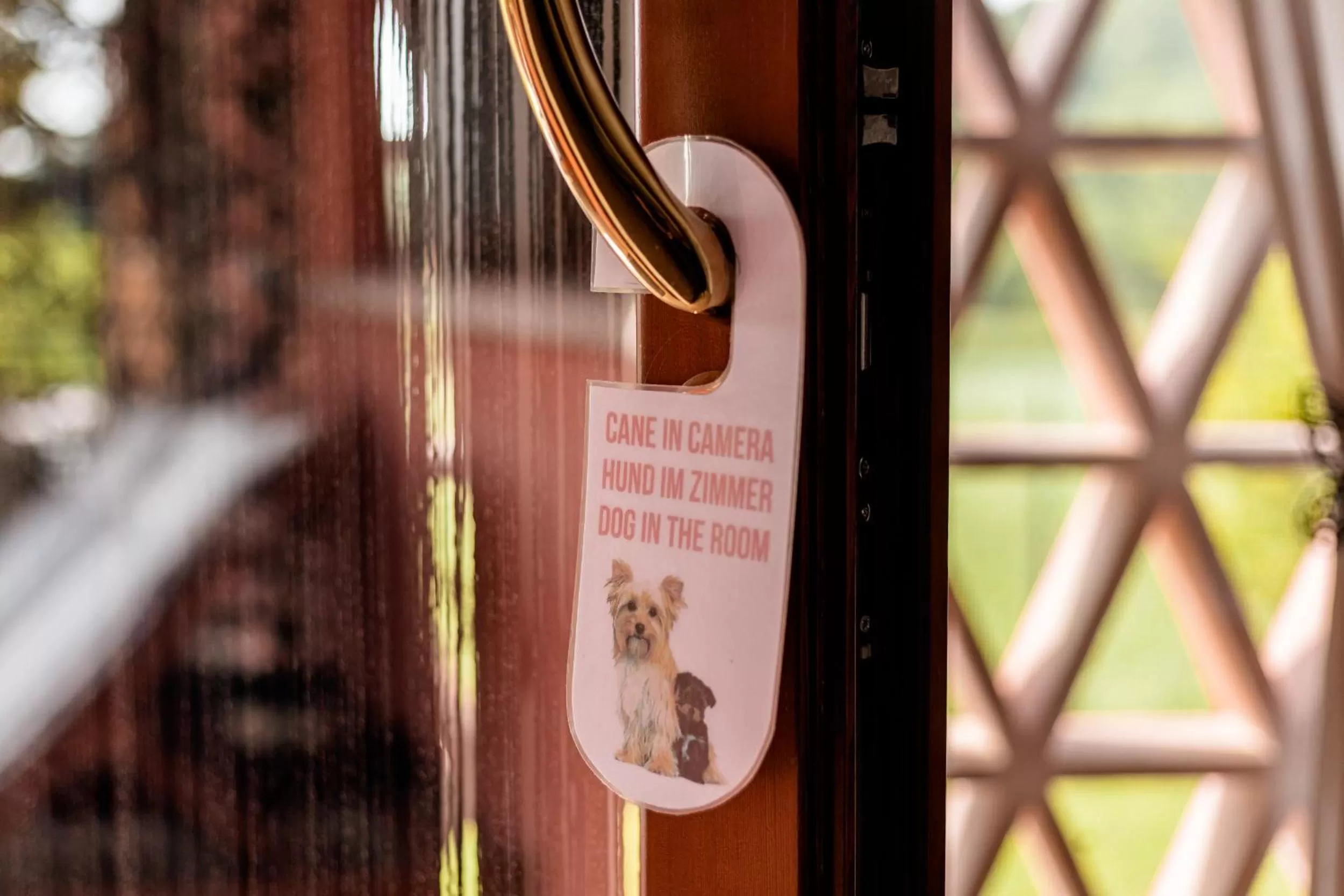 Logo/Certificate/Sign in B&B Sweet Dreams