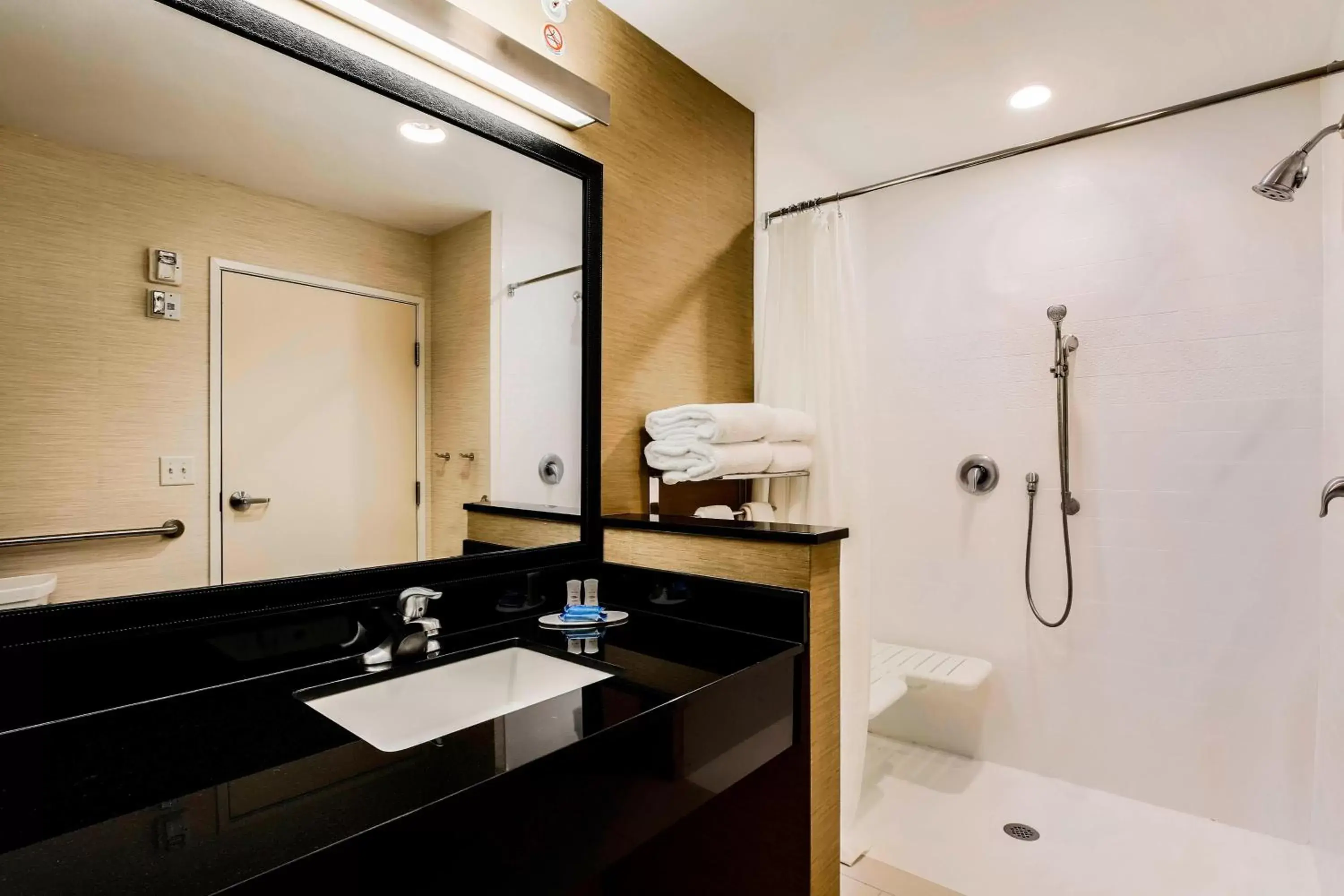 Bathroom in Fairfield Inn & Suites by Marriott Pecos