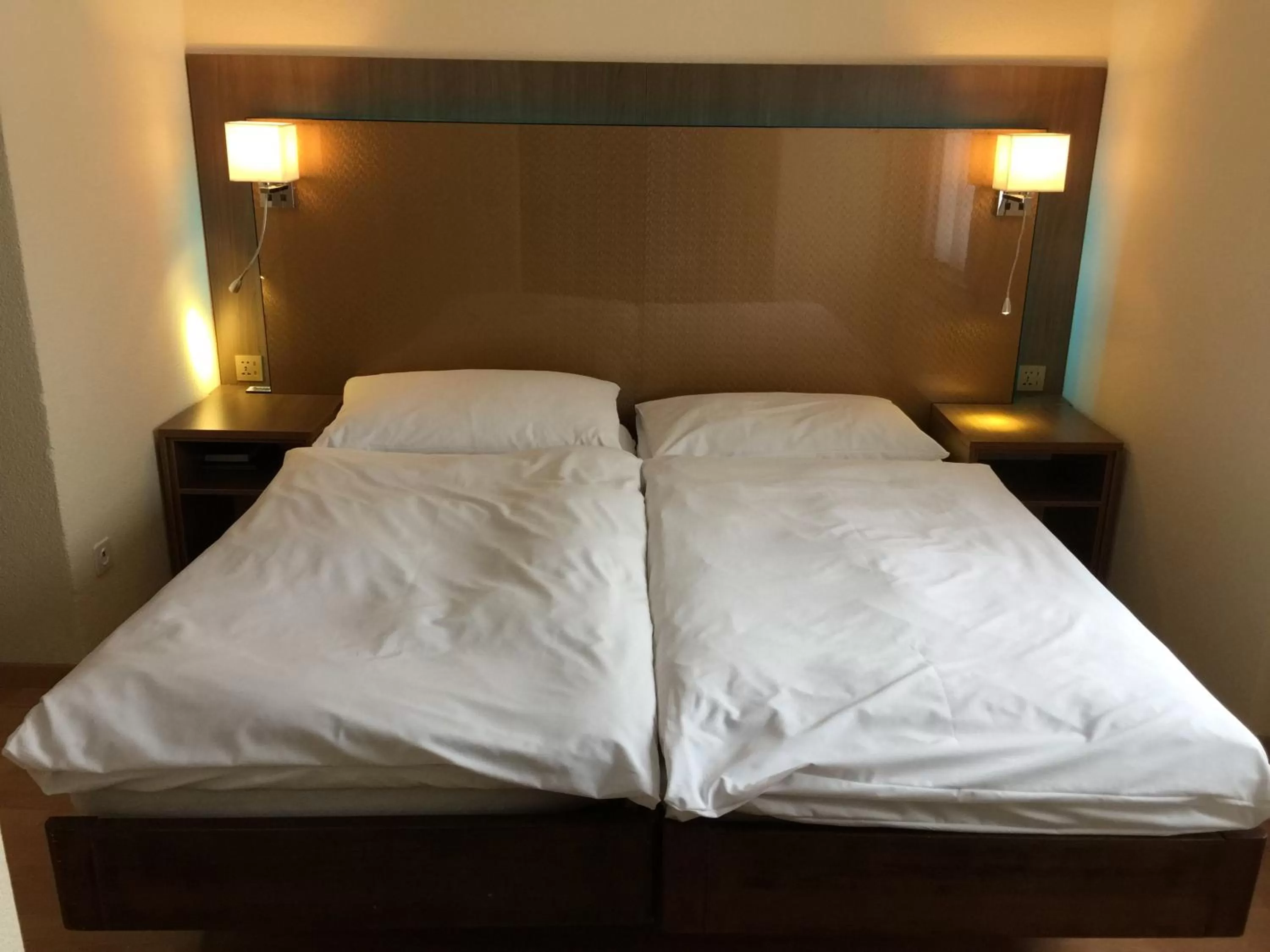 Photo of the whole room in Zys Hotel