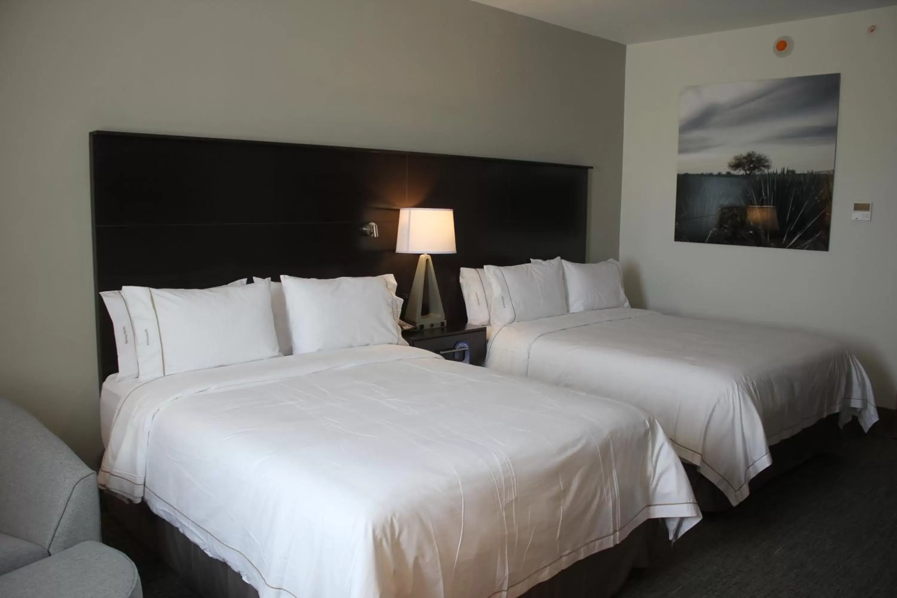 Photo of the whole room, Bed in Holiday Inn Express & Suites Silao Aeropuerto Terminal, an IHG Hotel