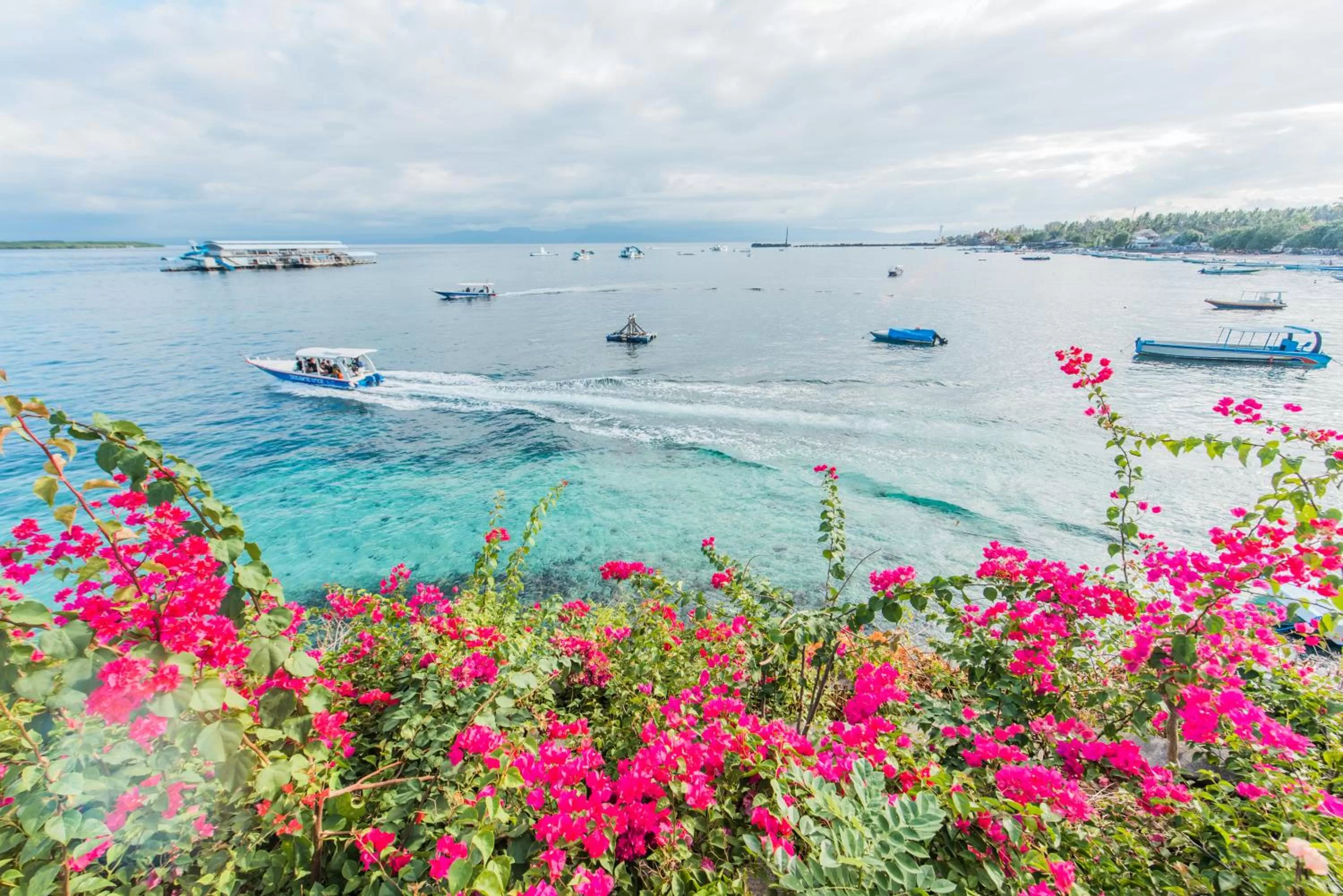 Natural landscape in Sea La Vie Resort Nusa Penida