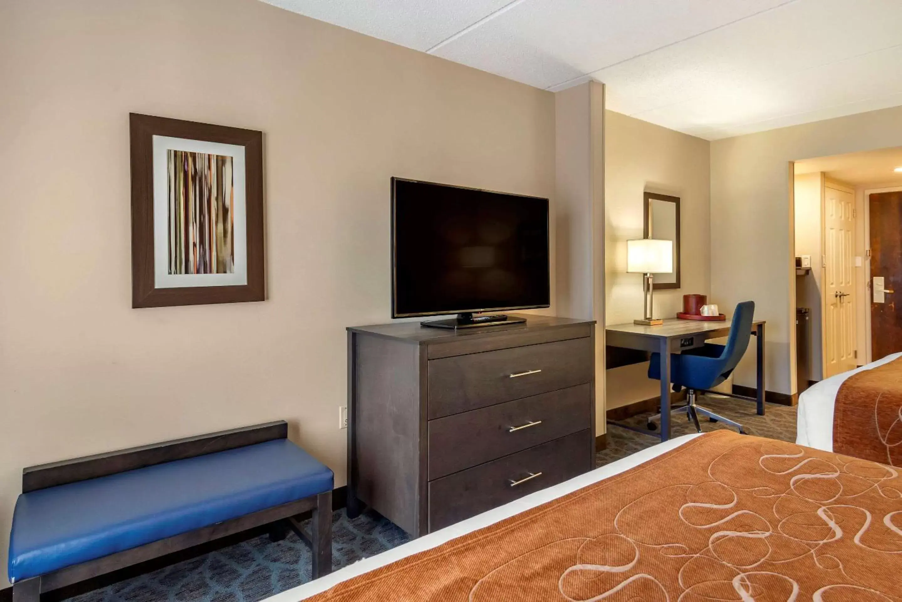 Photo of the whole room, TV/Entertainment Center in Comfort Suites Alpharetta - Roswell - Atlanta Area