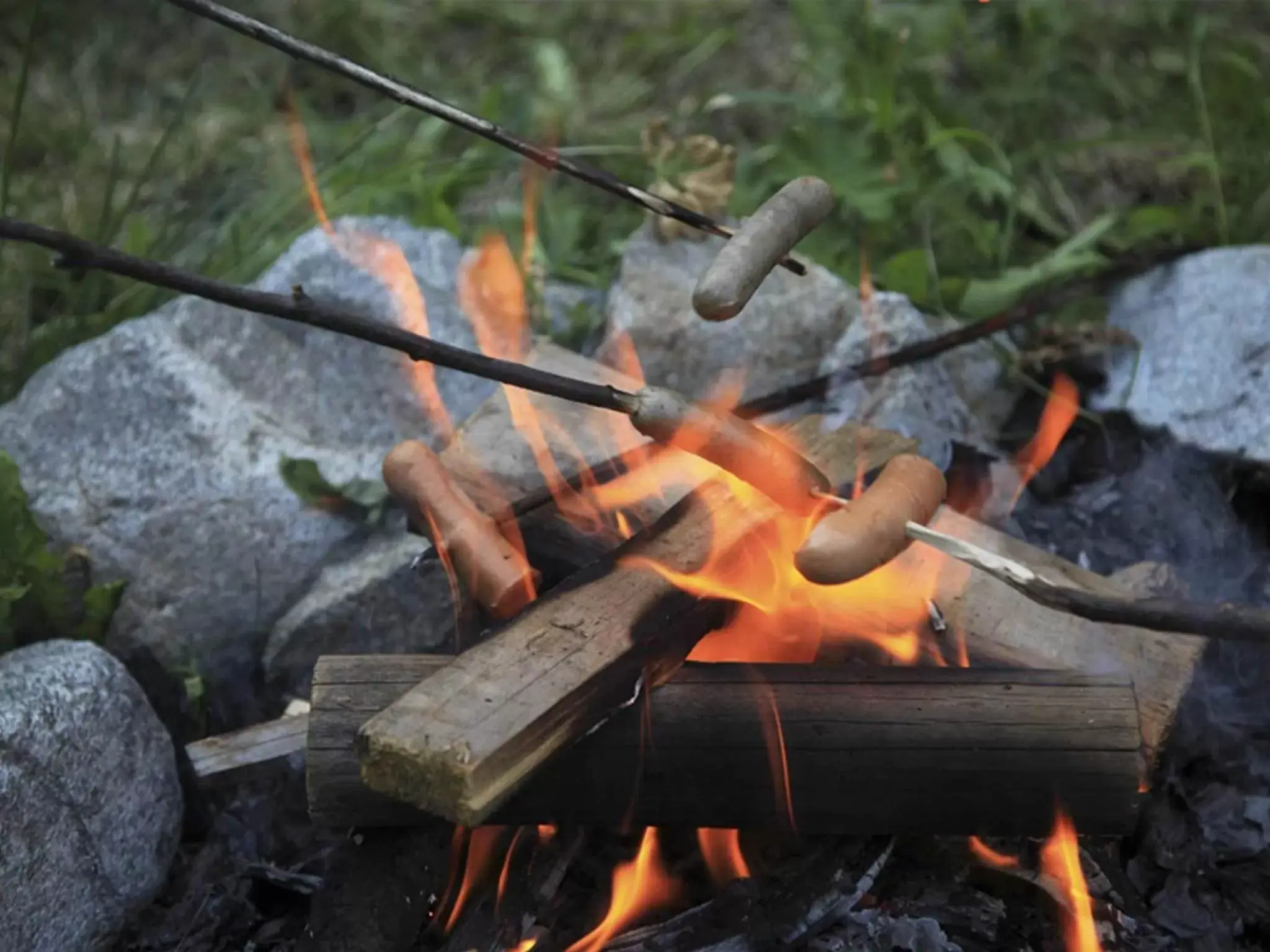 Kids's club, BBQ Facilities in Bio Natur Refugium Blaslahof ****