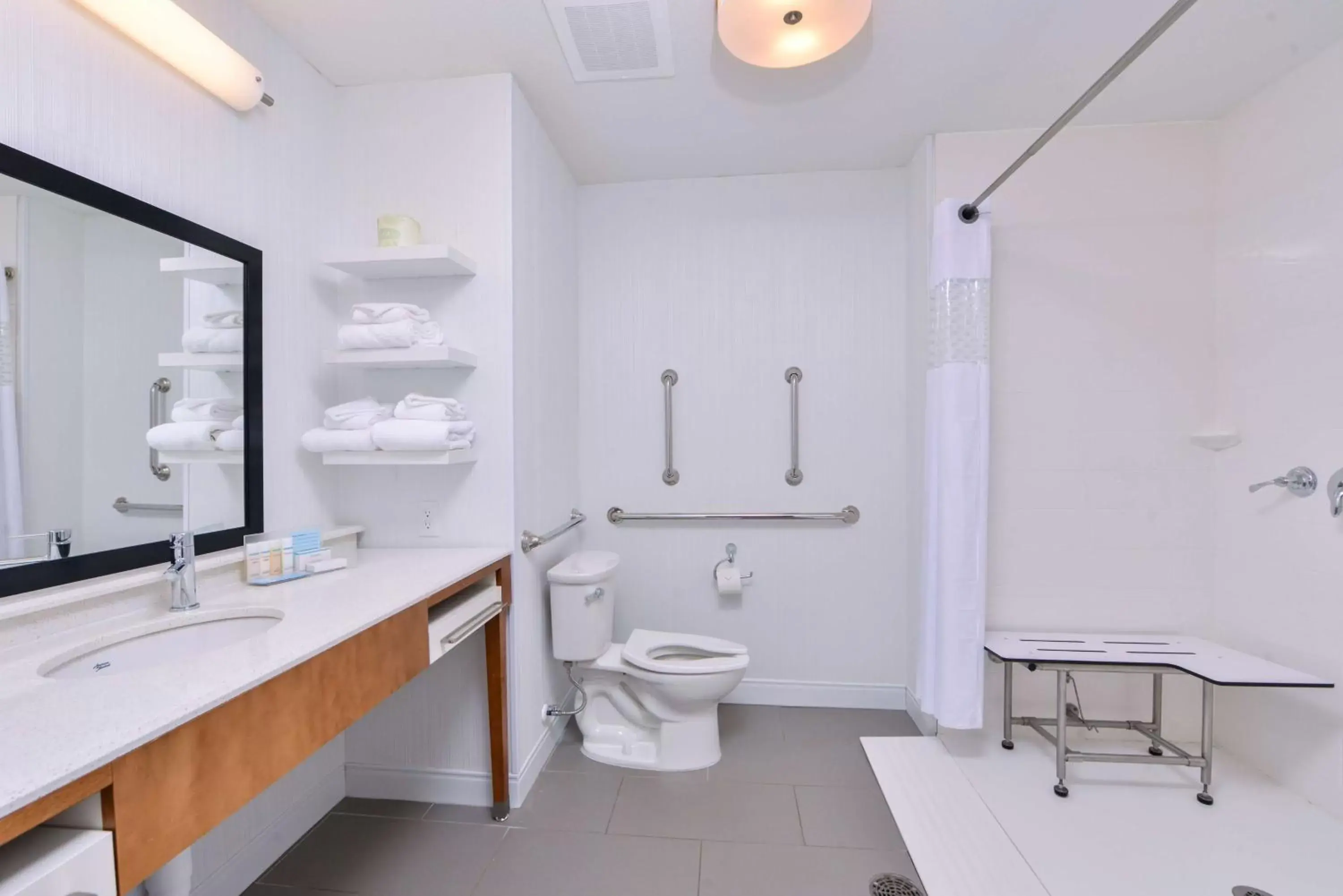 Bathroom in Hampton Inn and Suites Altoona-Des Moines by Hilton