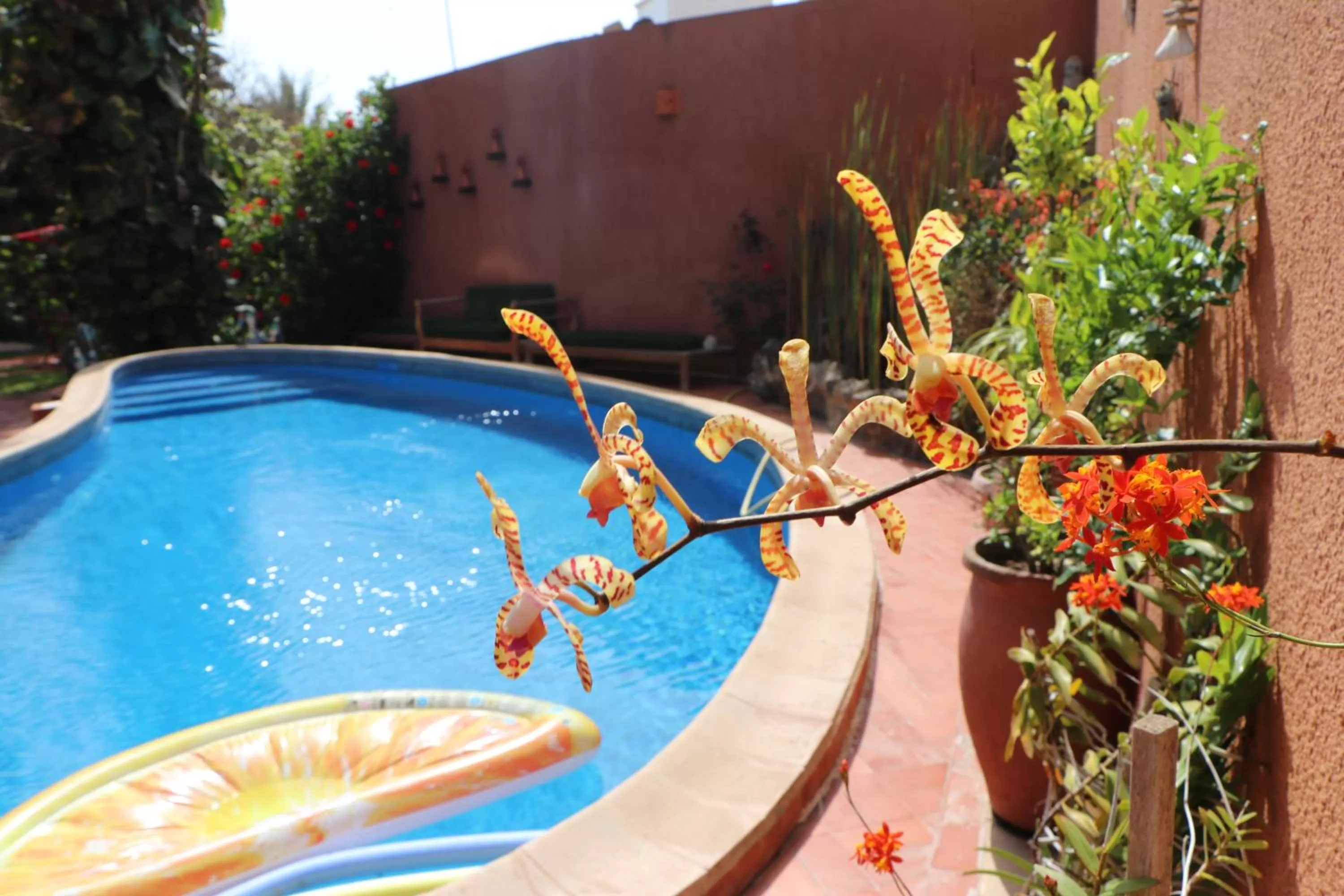 Garden, Swimming Pool in Nyéléni maison sahel