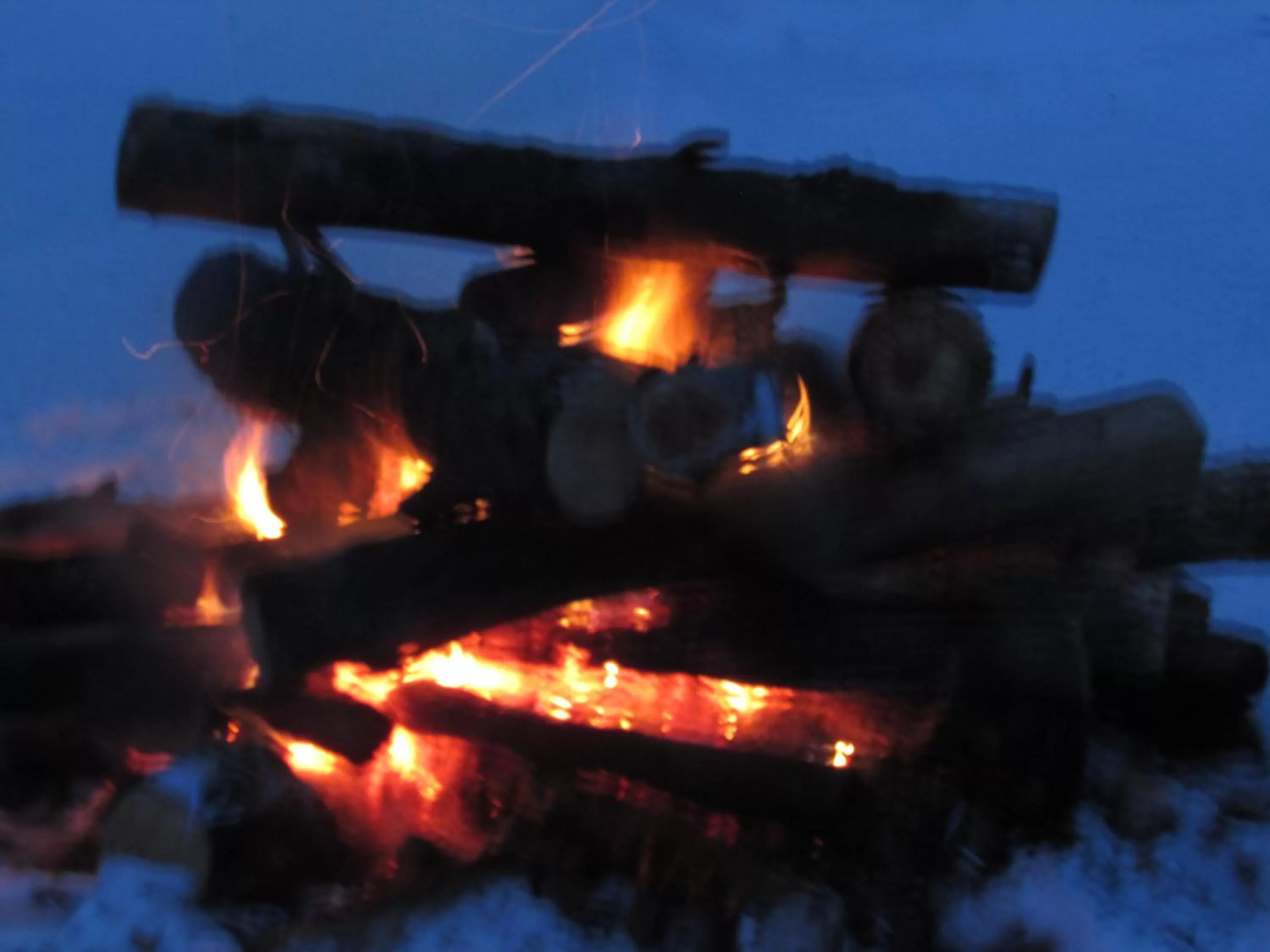 Snorkeling/Diving in Best Bear Lodge