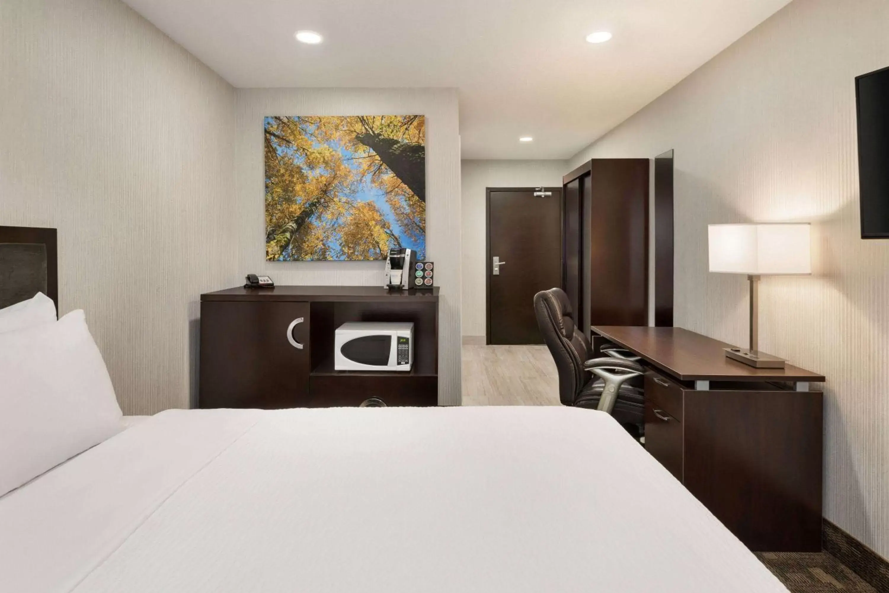 Photo of the whole room, Bed in Days Inn by Wyndham Wainwright Photo of the whole room, Bed in Days Inn by Wyndham Wainwright