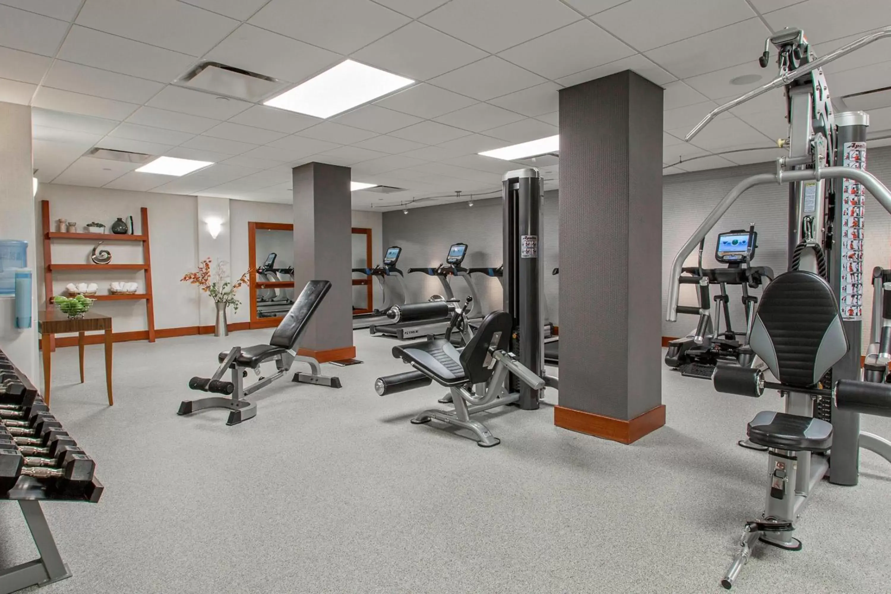 Fitness centre/facilities, Fitness Center/Facilities in Rochester Airport Marriott