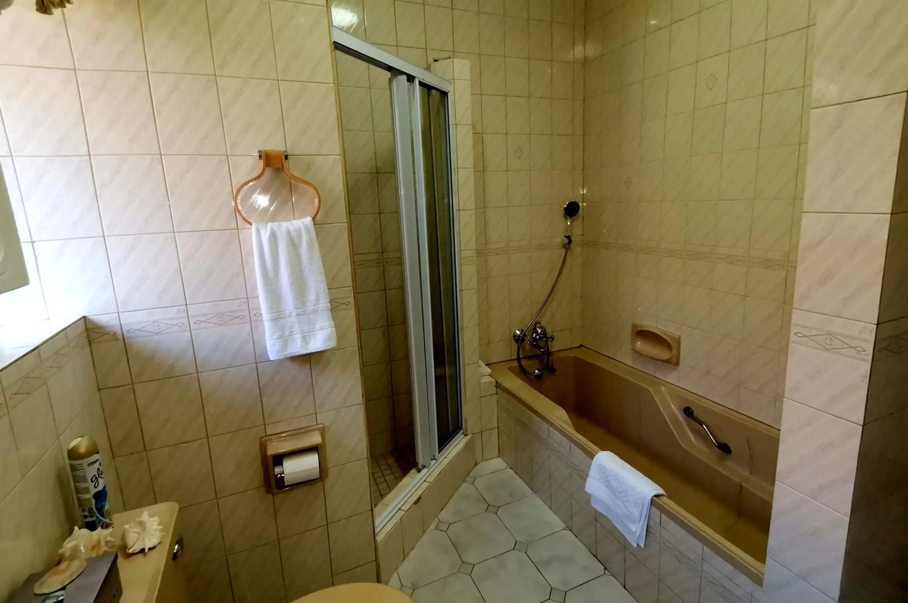 Shower, Bathroom in Royal Ridge Guesthouse