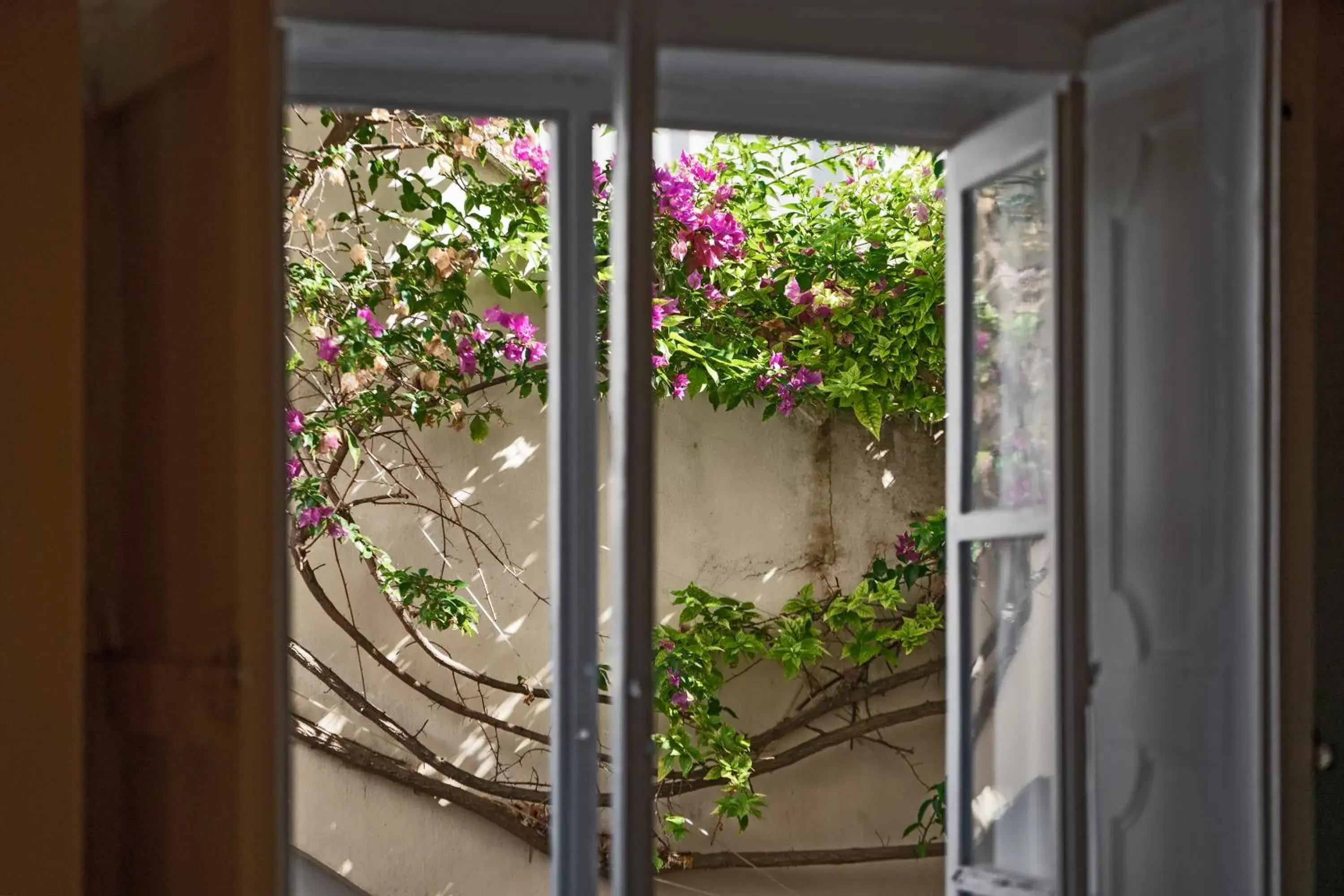 Garden view in Relais Corte Palmieri & Il Chiostro - Residenza d'epoca Garden view in Relais Corte Palmieri & Il Chiostro - Residenza d'epoca