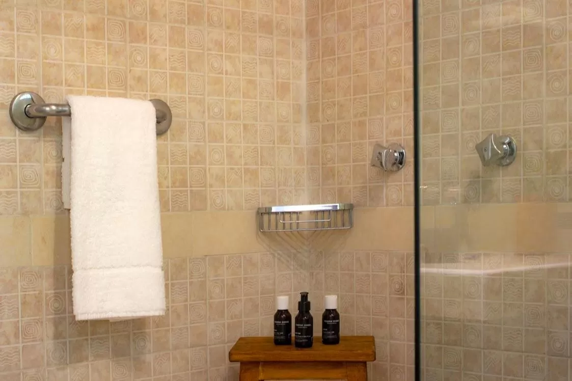 Shower, Bathroom in Albatros Suites by Bedsfriends