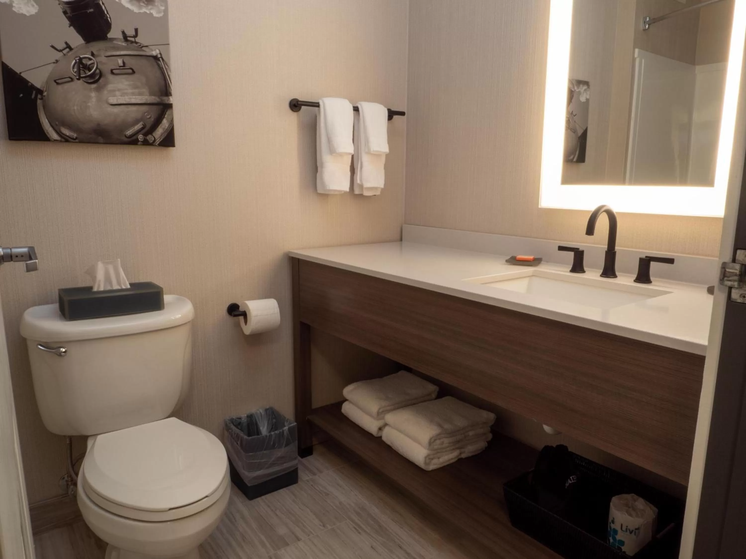 Bathroom in Grand Superior Lodge