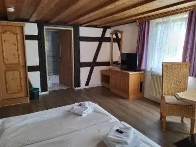 Bedroom, TV/Entertainment Center in Historik Hotel Ochsen