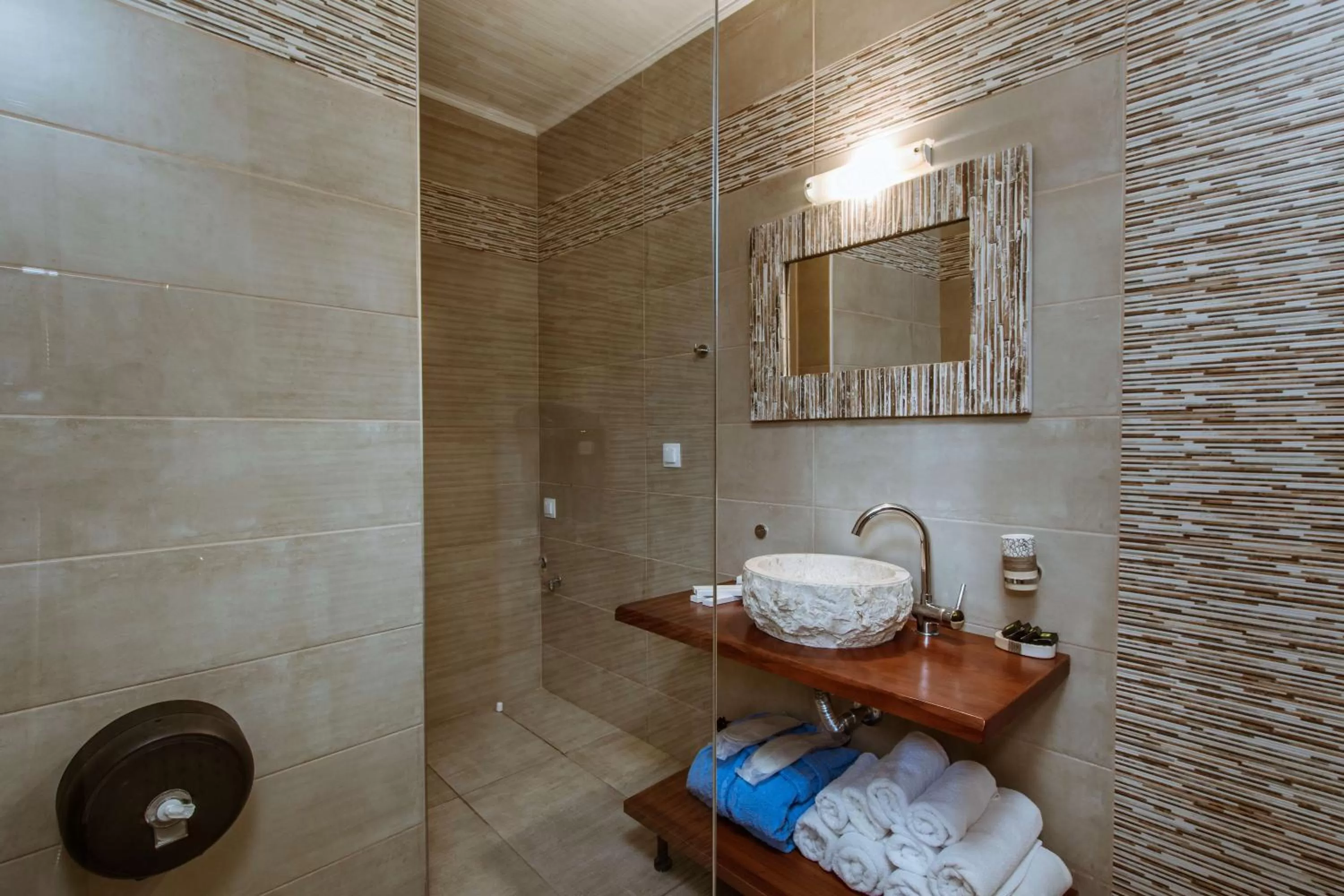 Shower in Deluxe Hotel
