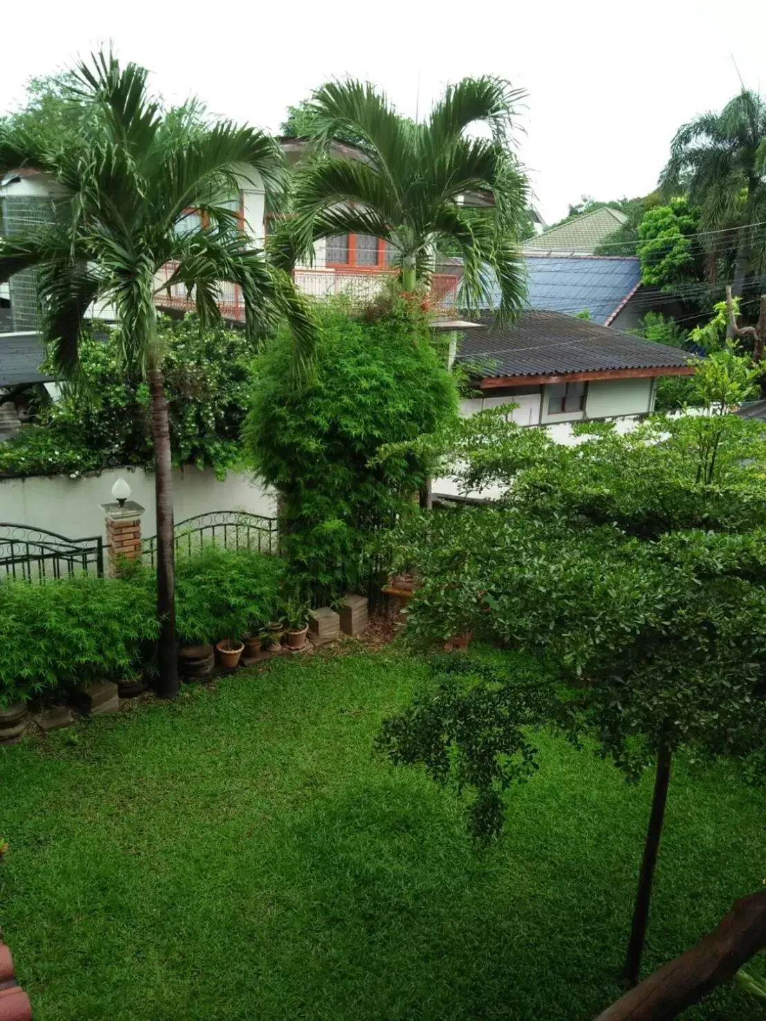 Garden in Villa Oranje Chiang Mai