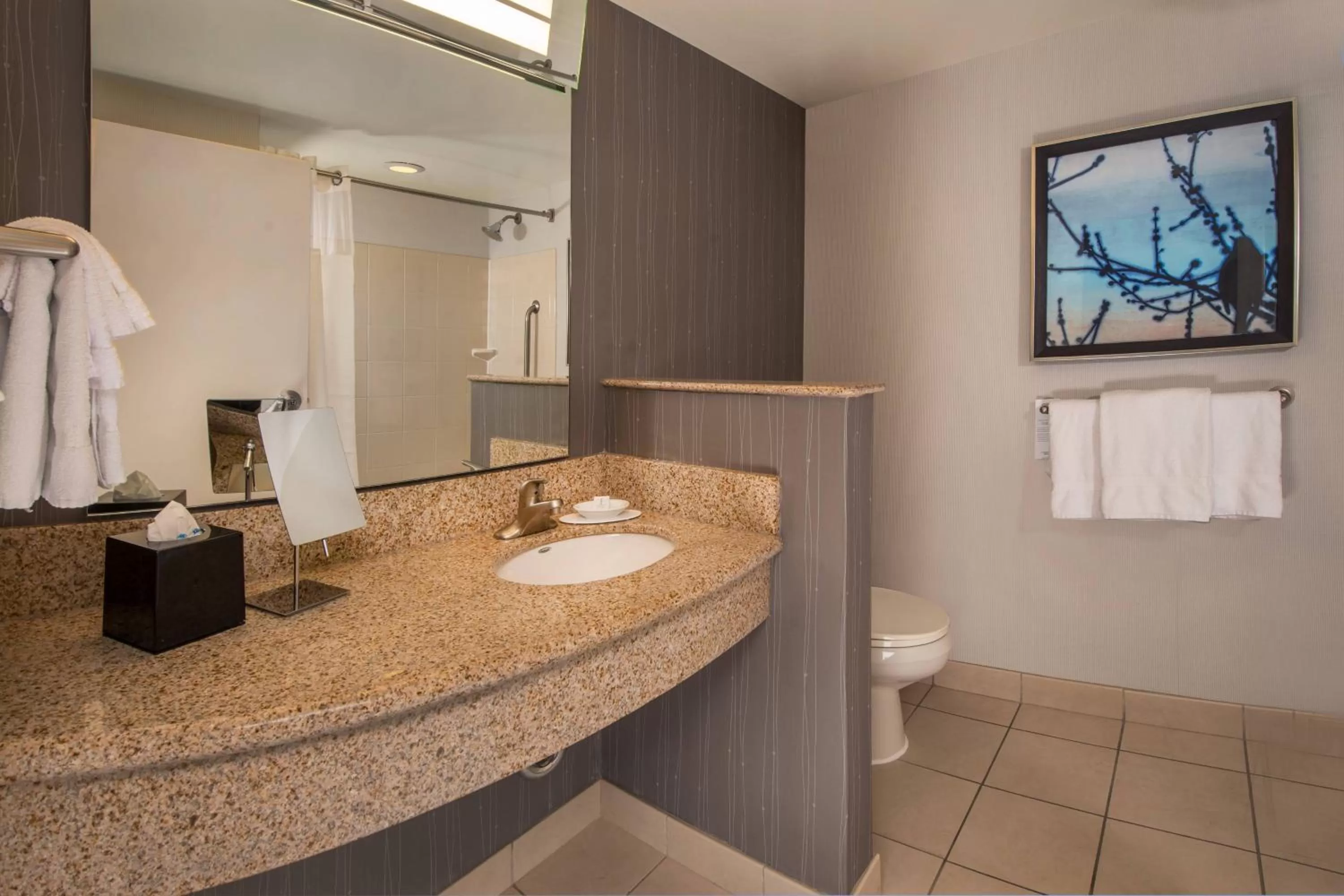 Bathroom in Courtyard by Marriott Gaithersburg Washingtonian Center