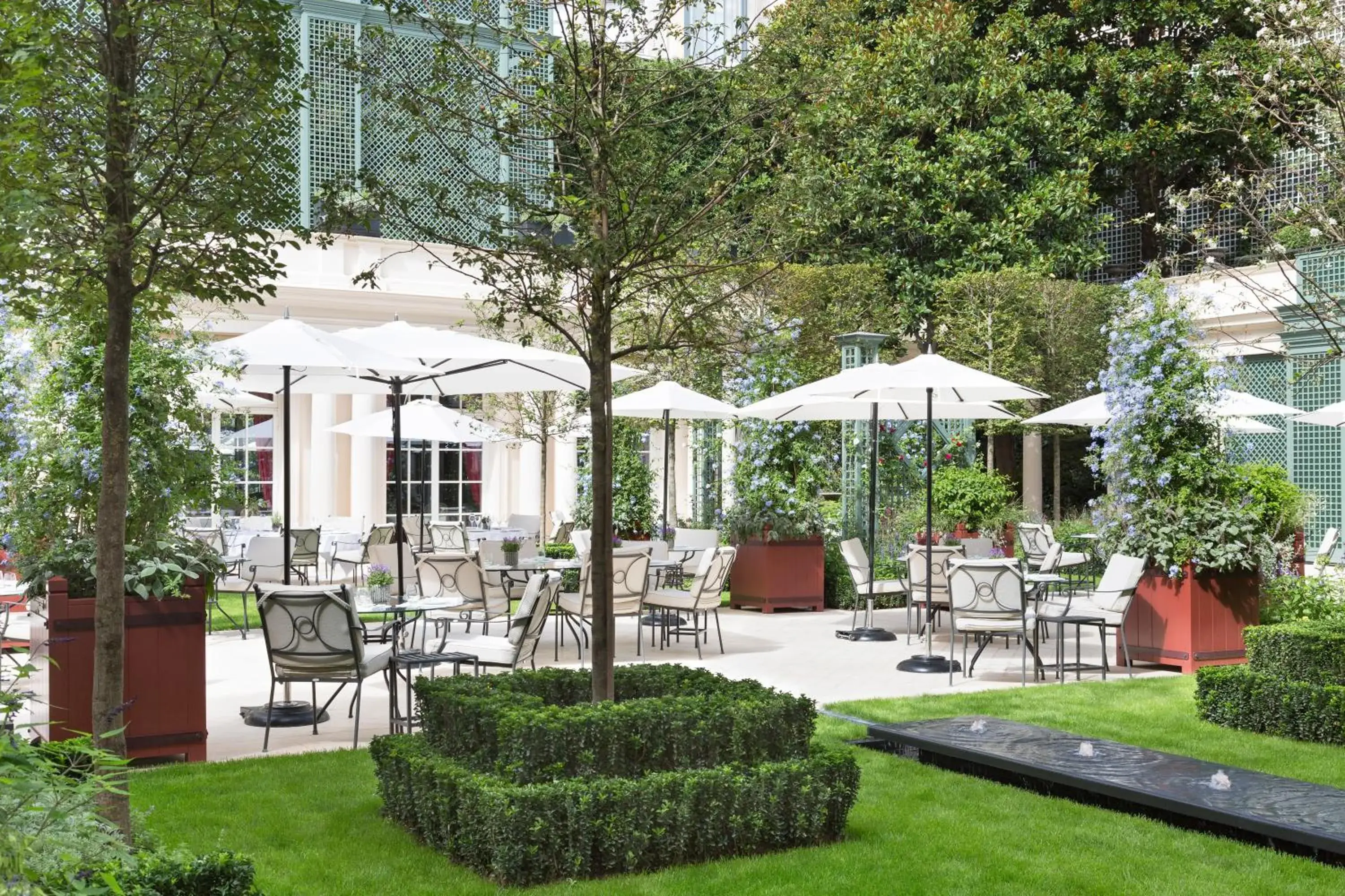 Garden in Le Bristol Paris - an Oetker Collection Hotel