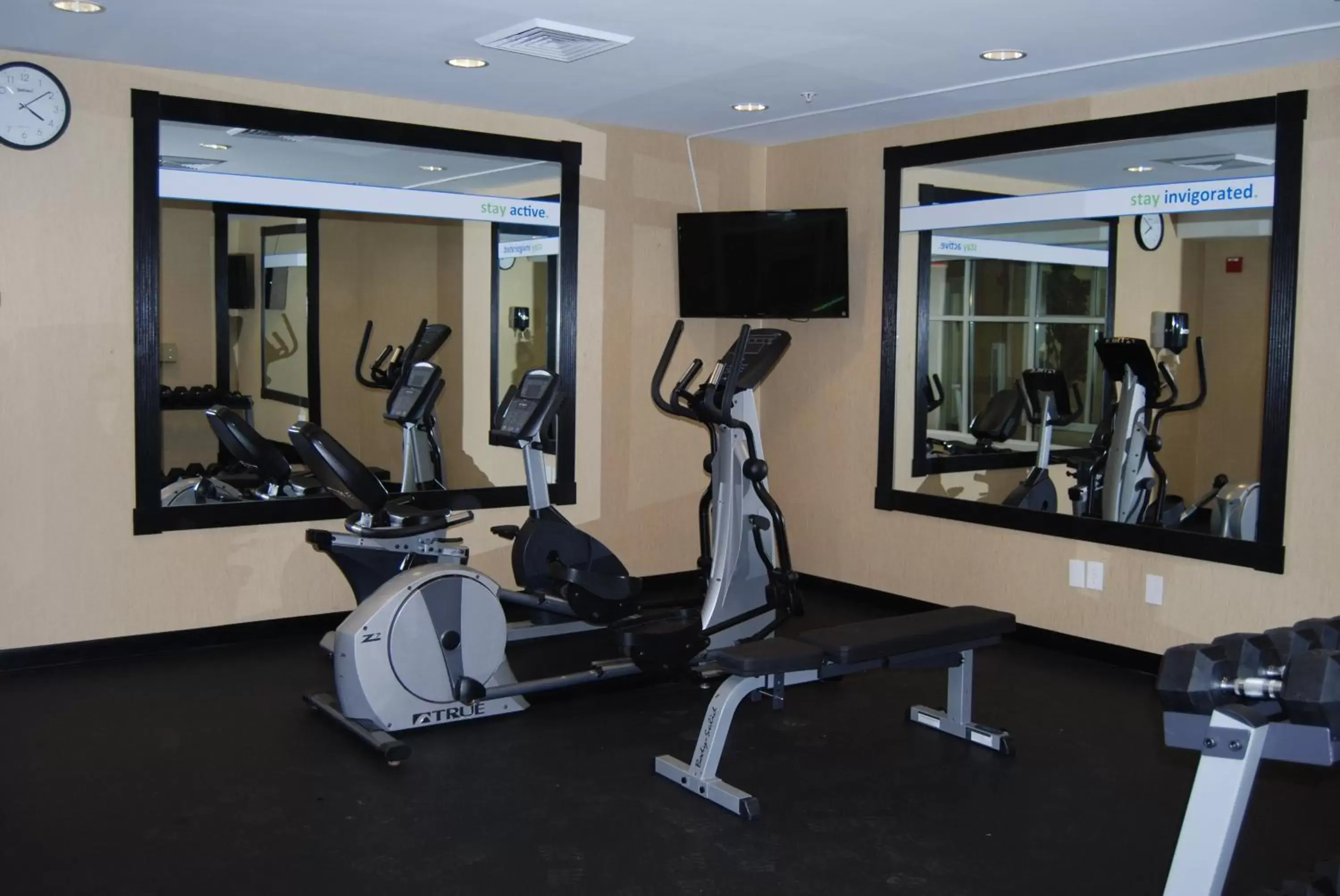 Fitness centre/facilities, Fitness Center/Facilities in Holiday Inn Express Hotel & Suites Auburn Hills, an IHG Hotel