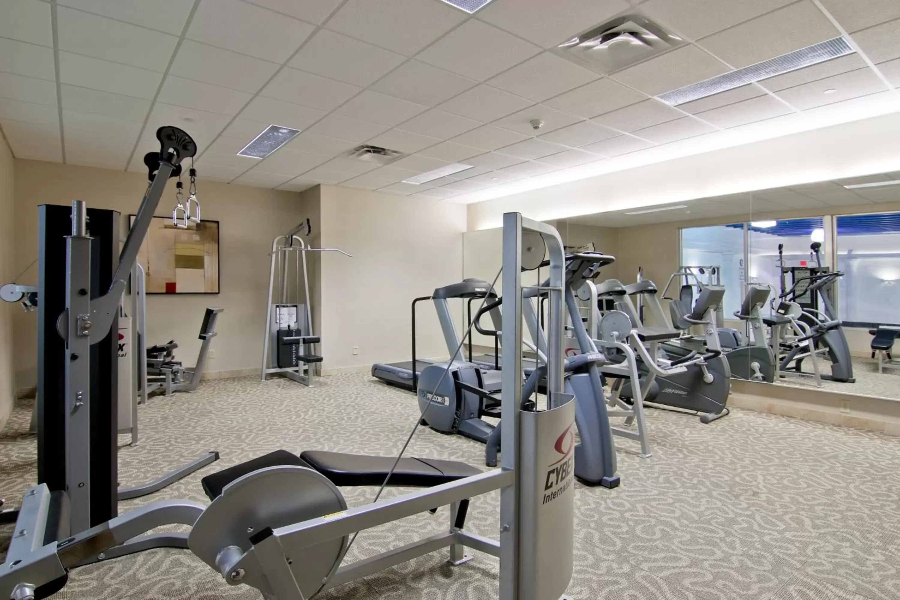 Spa and wellness centre/facilities, Fitness Center/Facilities in Holiday Inn Hotel & Suites St.Catharines-Niagara, an IHG Hotel