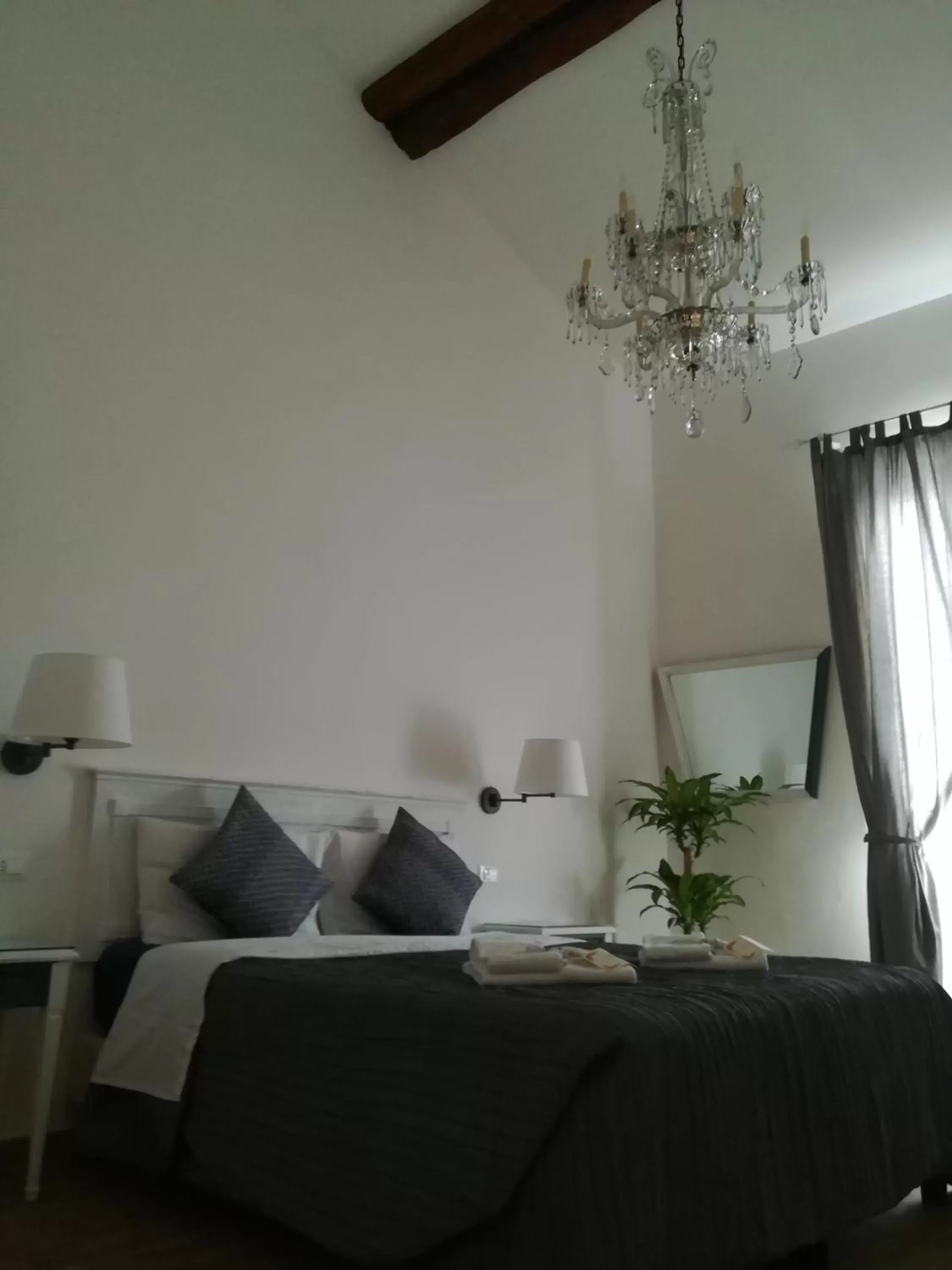 Bed in In San Frediano B&B