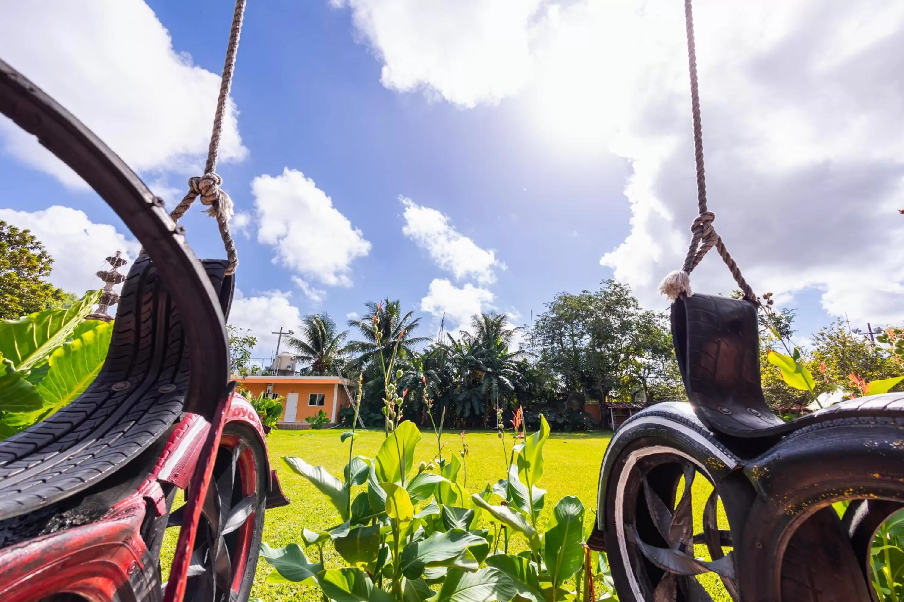 Garden view in Hotel Bello Caribe Express