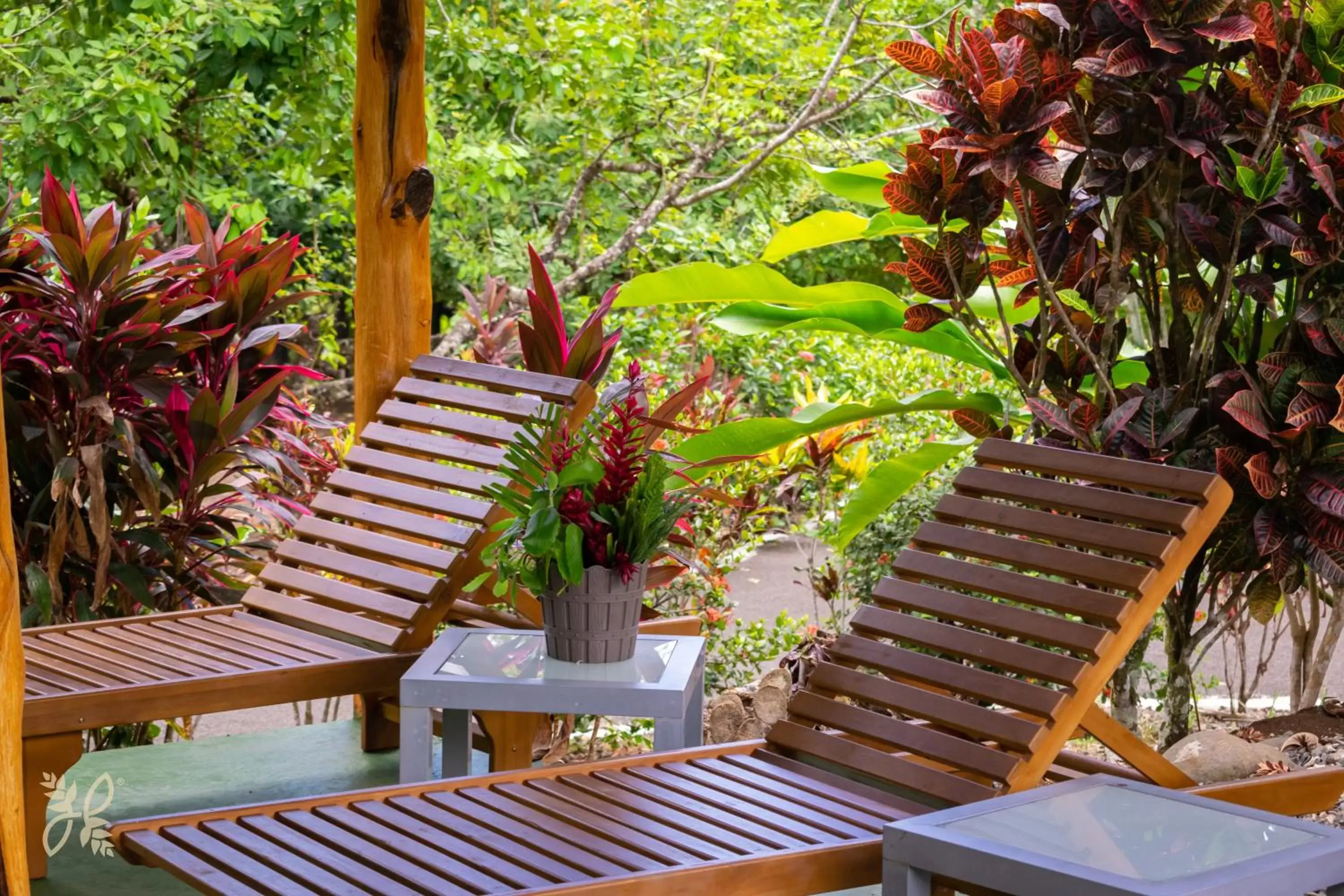 View (from property/room) in Hotel Heliconias Nature Inn & Hot Springs