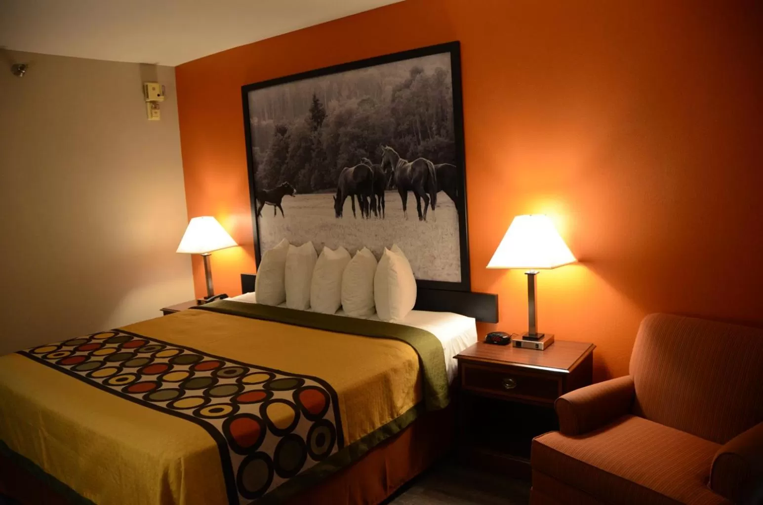 Bed in Super 8 by Wyndham Louisville/Expo Center