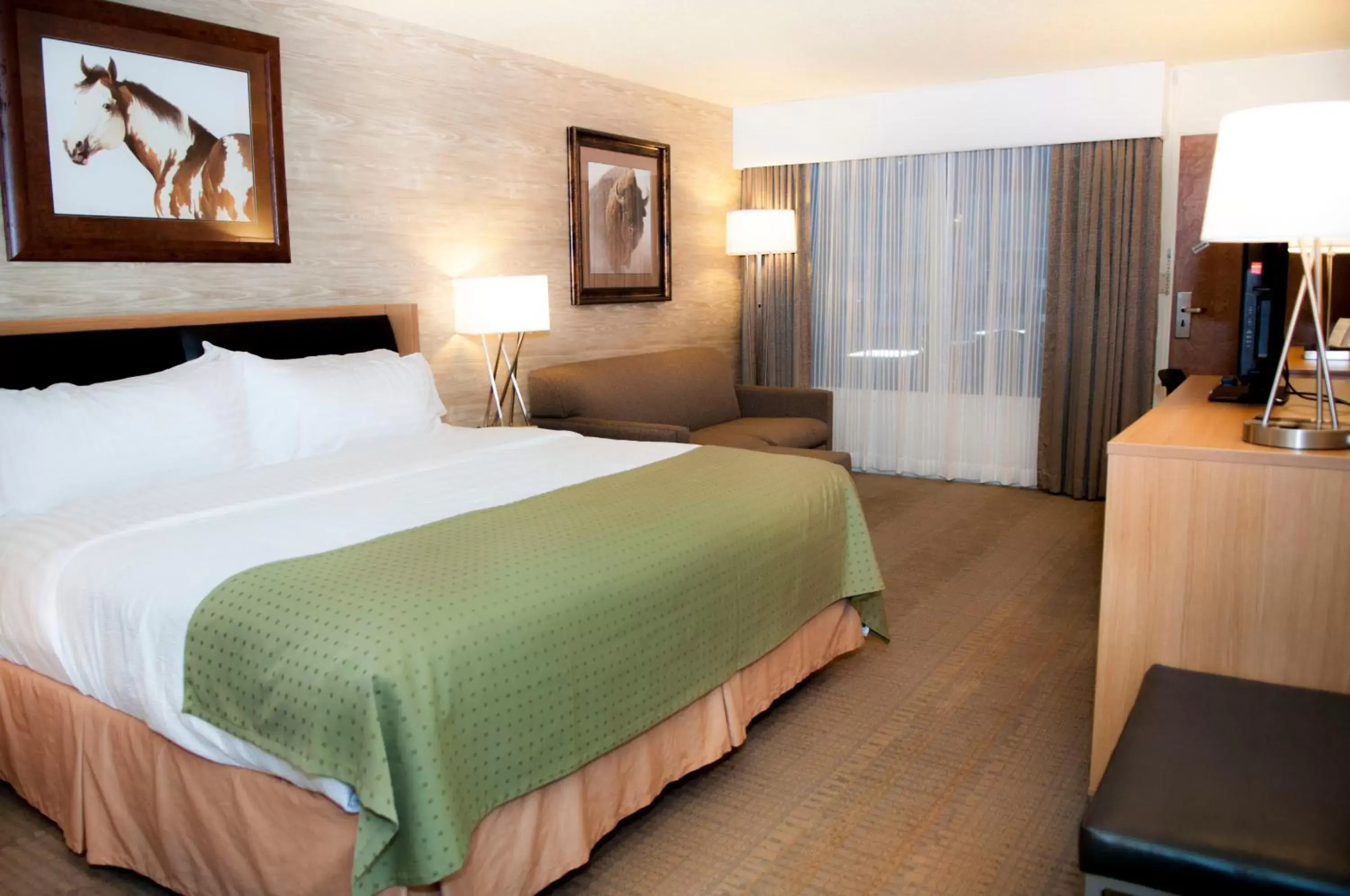 Photo of the whole room, Bed in Holiday Inn Spearfish-Convention Center, an IHG Hotel