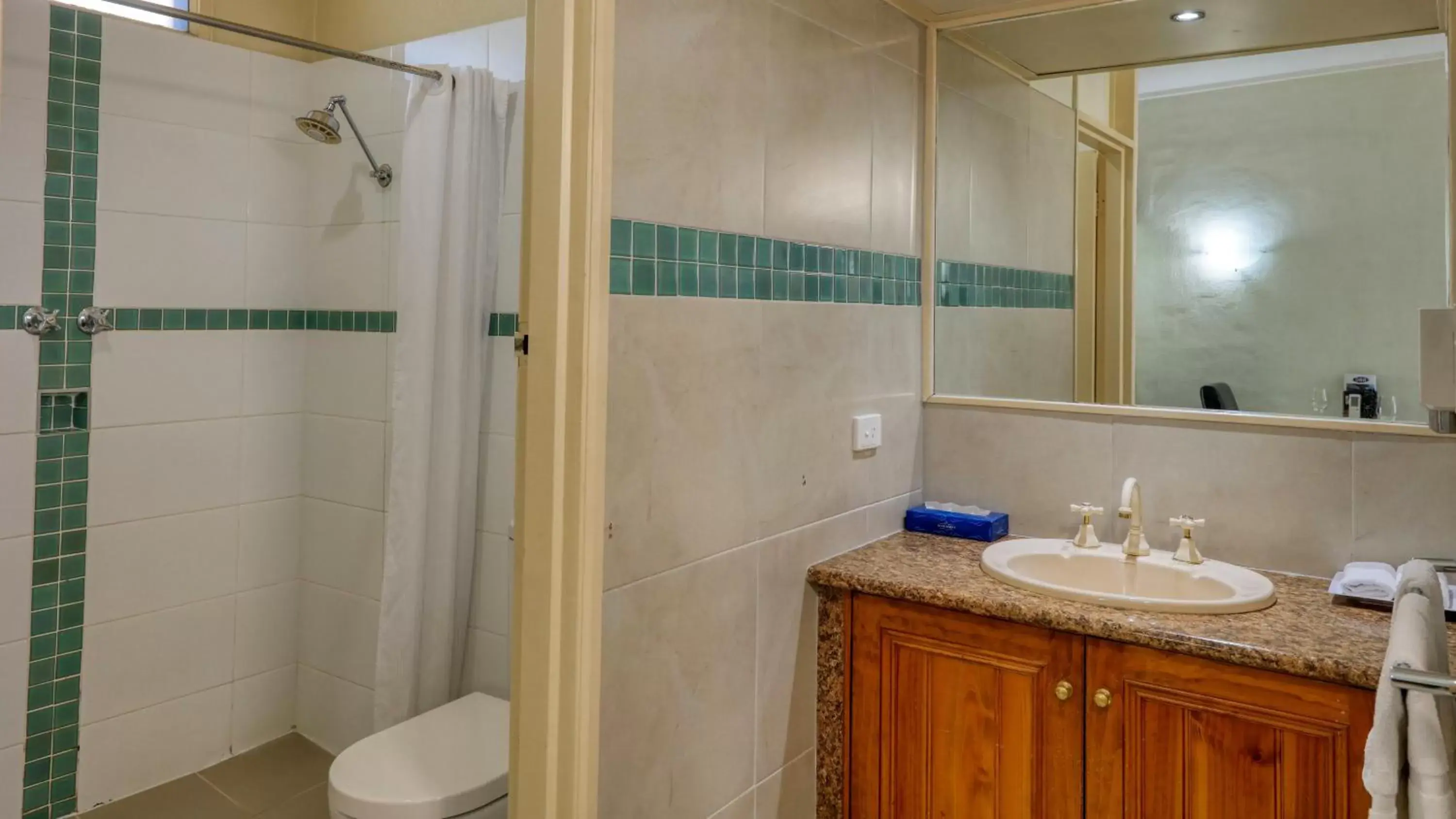 Shower, Bathroom in Rose City Motor Inn