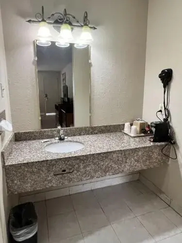 Bathroom in Americas Best Value Inn - Edna