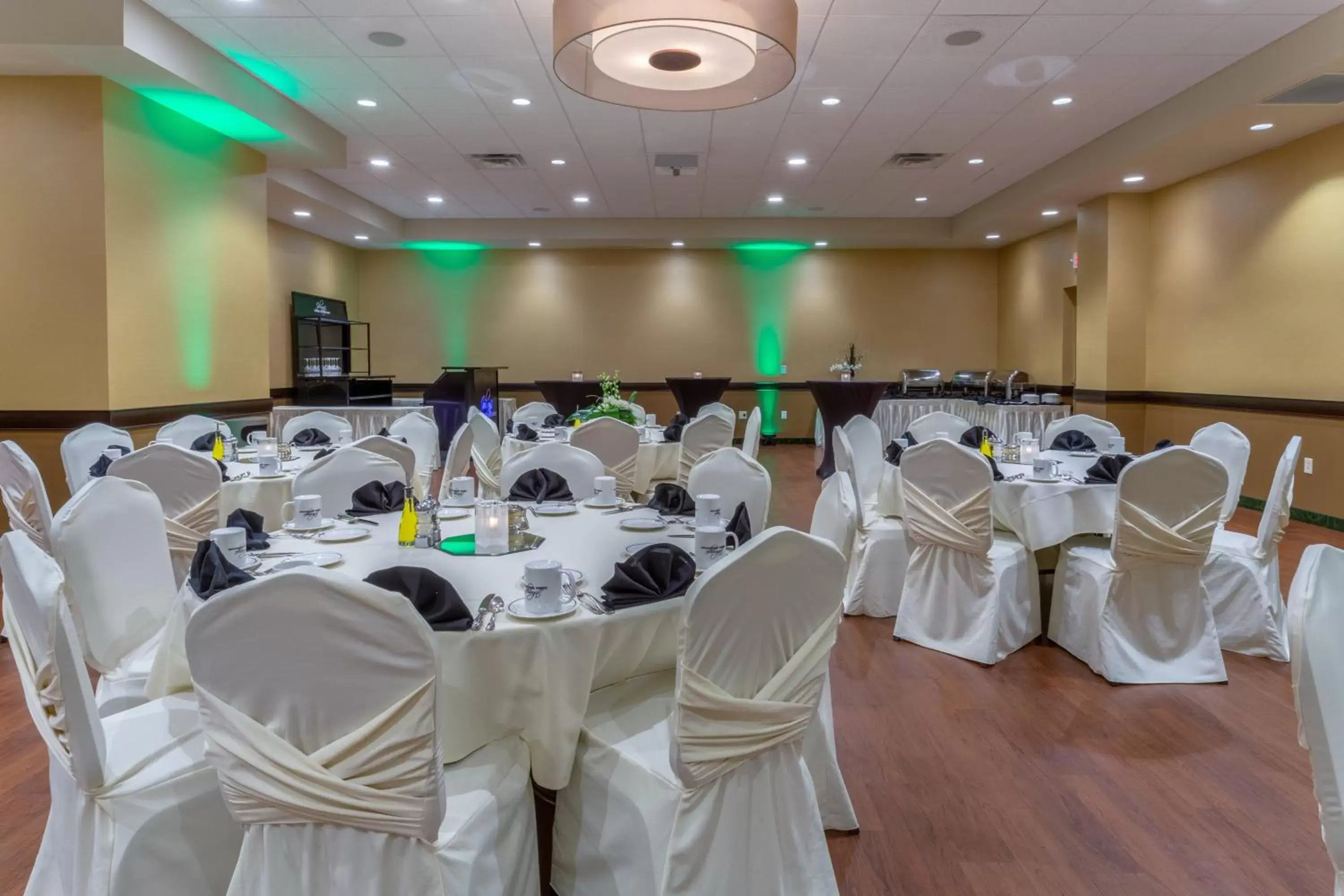 Meeting/conference room, Banquet Facilities in Holiday Inn Eau Claire South, an IHG Hotel