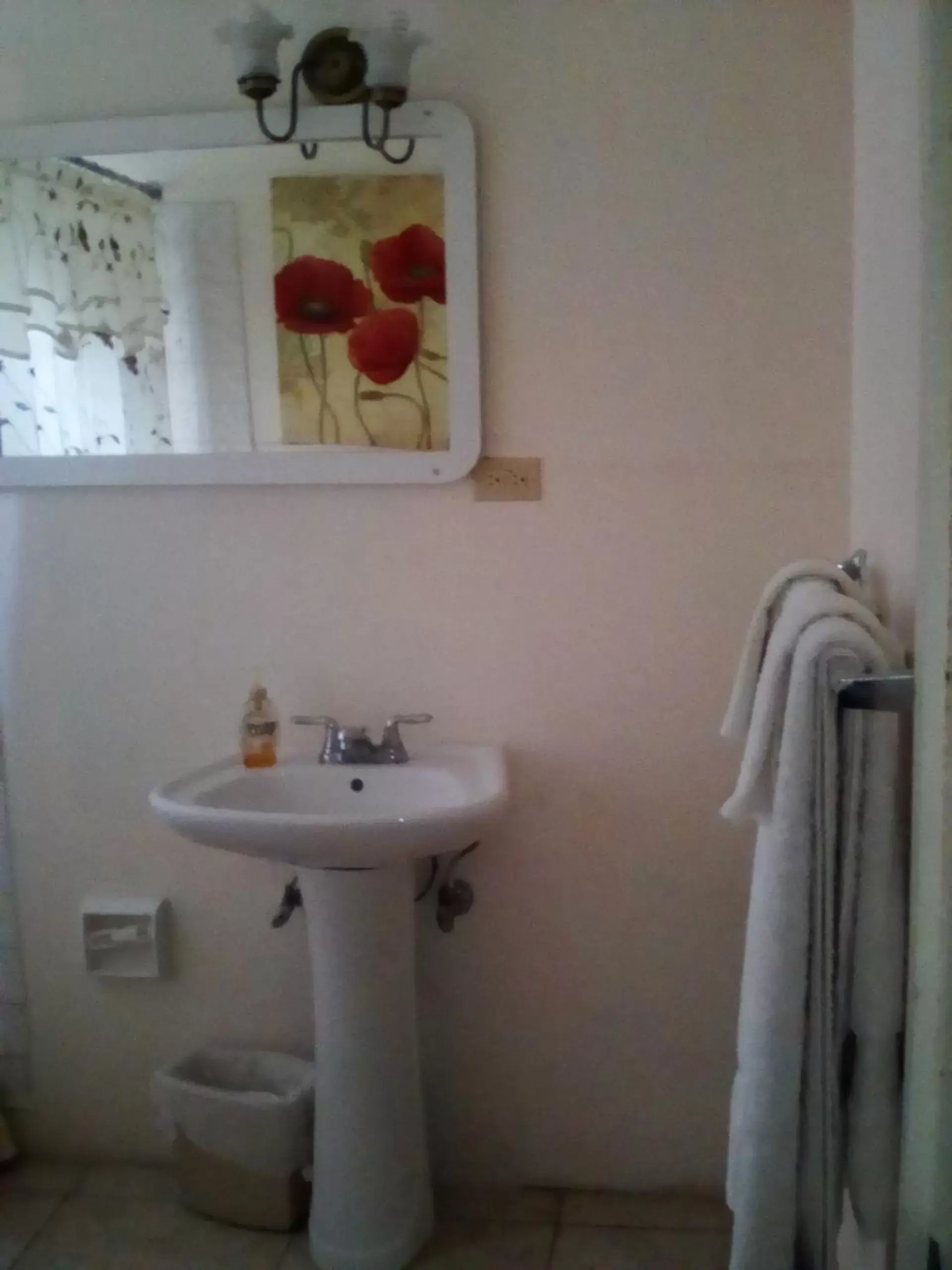 Bathroom in Castlevue B&B